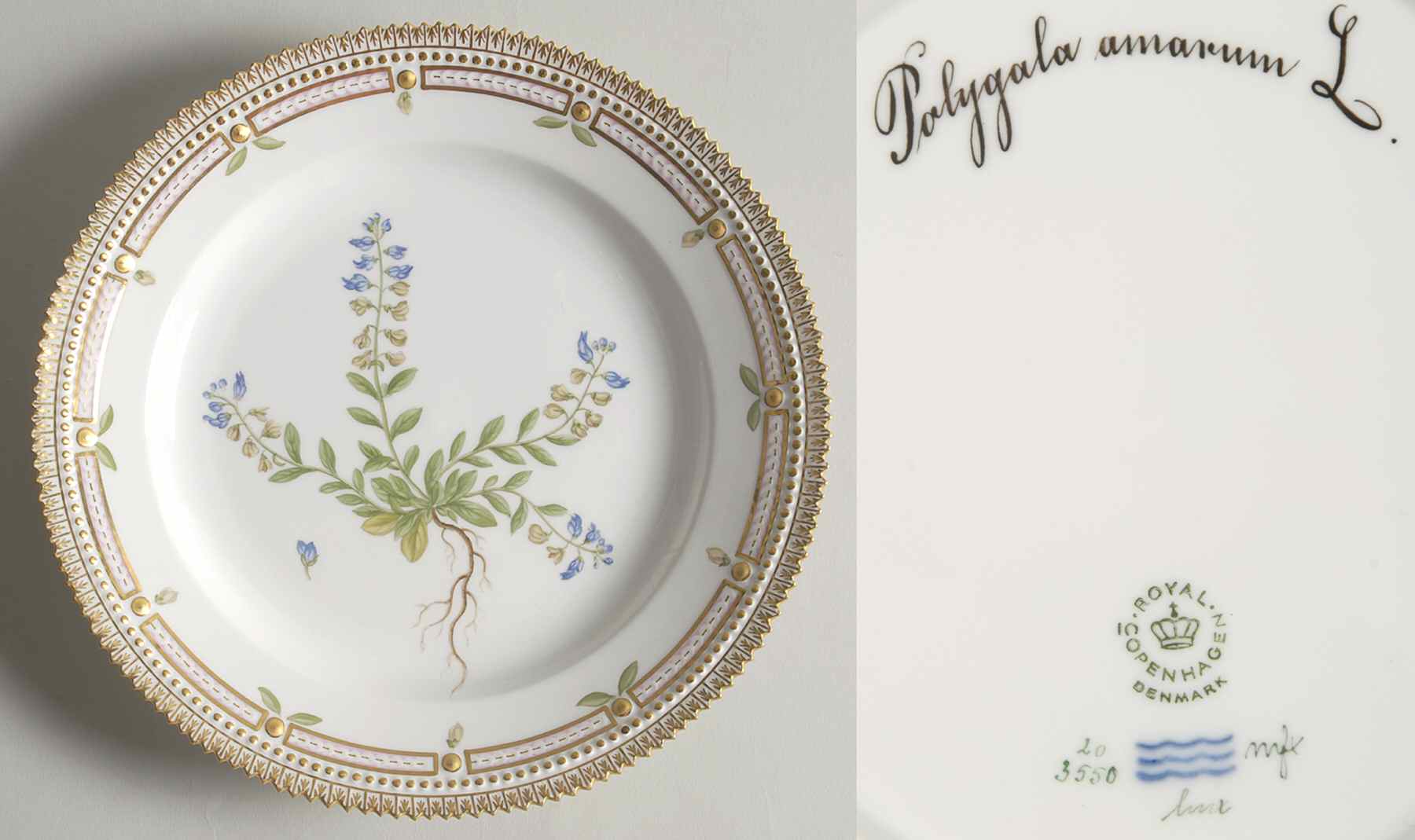 Flora Danica (1961 To Current) Luncheon Plate-Polygala amarus L by Royal Copenhagen-1