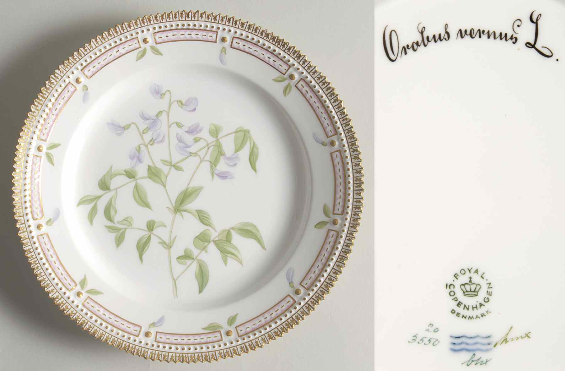 Flora Danica (1961 To Current) Luncheon Plate-Orobus vernus L by Royal Copenhagen-1