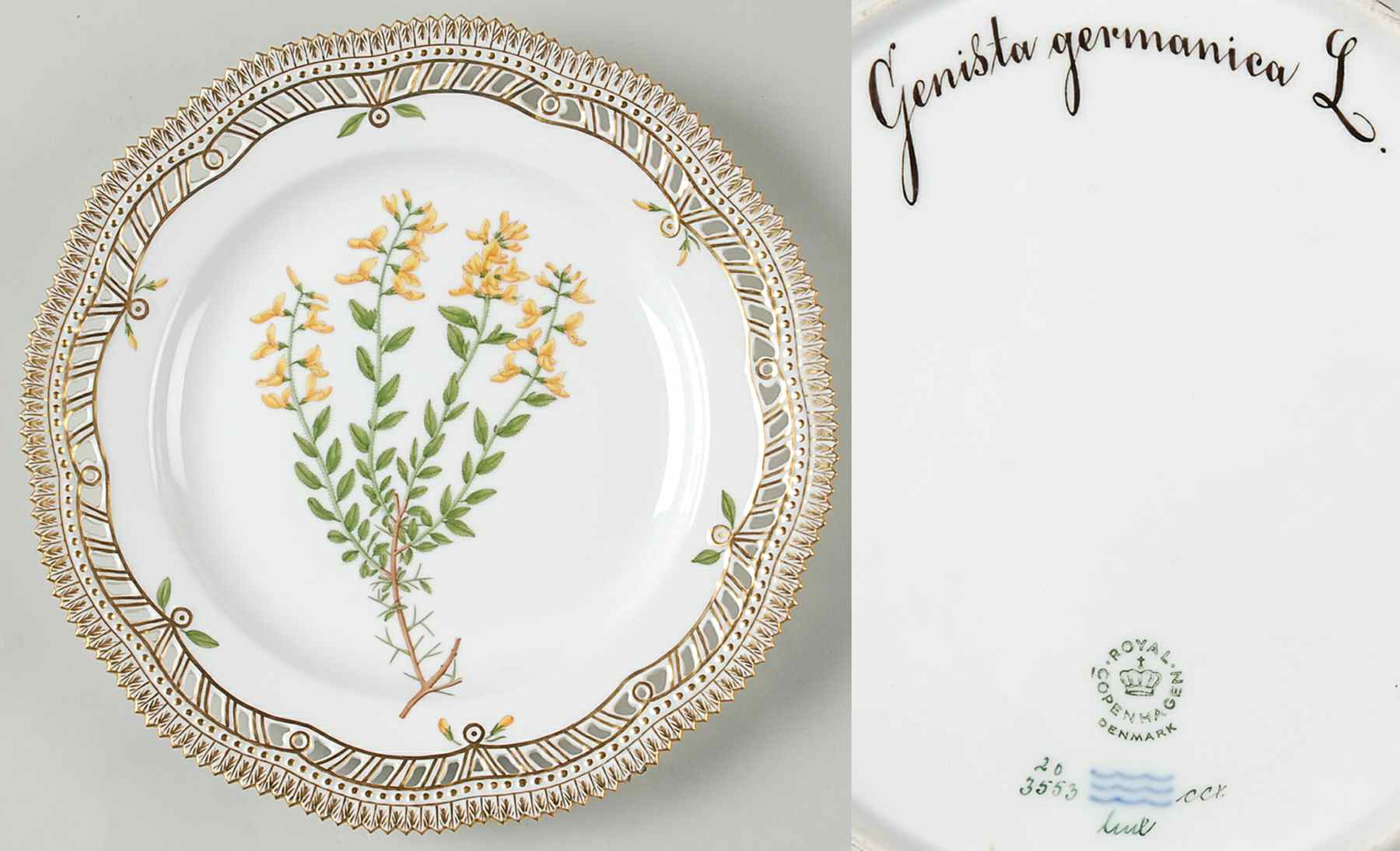 Flora Danica (1961 To Current) Luncheon Plate-Genista germanica L by Royal Copenhagen-1