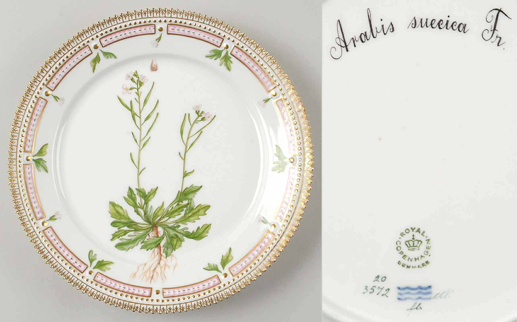 Flora Danica (1961 To Current) Luncheon Plate-Arabis suecica Fr by Royal Copenhagen-1