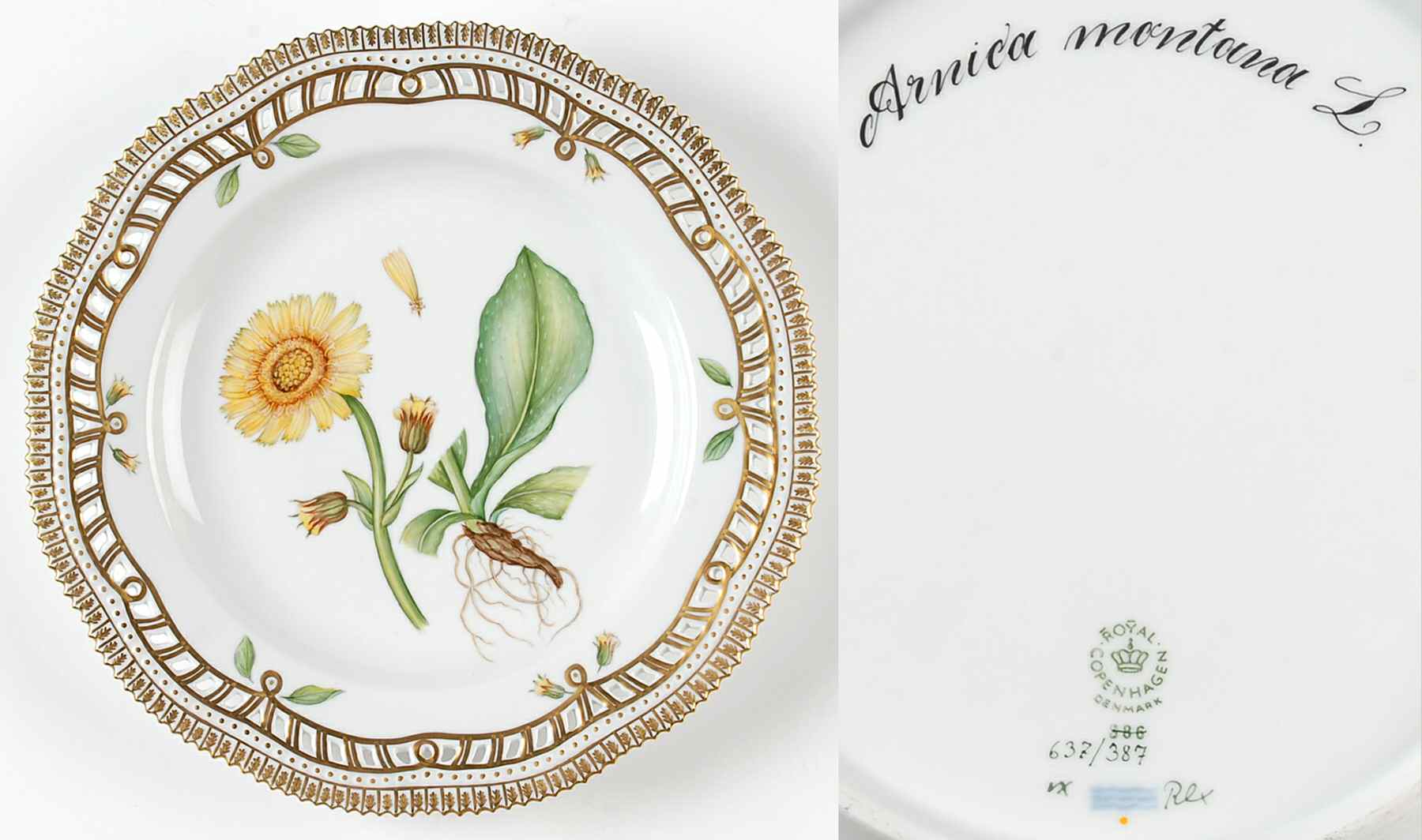 Flora Danica (1961 To Current) 10" Pierced Dinner Plate/Fruit Std-Arnica montana by Royal Copenhagen-1