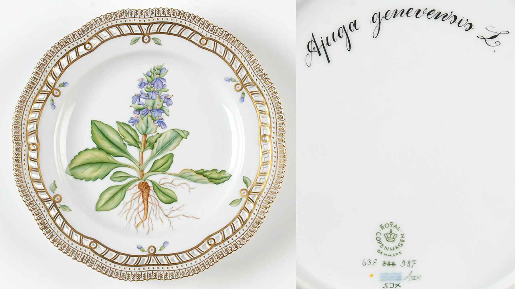 Flora Danica (1961 To Current) 10" Pierced Dinner Plate/Fruit Std-Ajuga genevensi by Royal Copenhagen-1