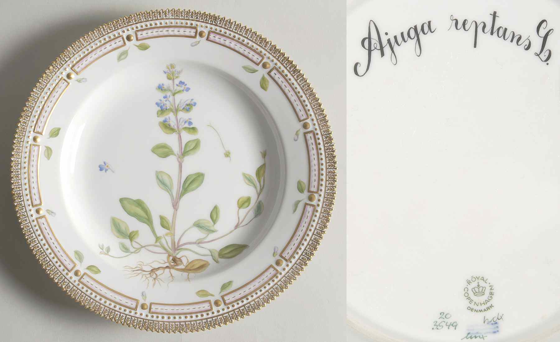 Flora Danica (1961 To Current) Dinner Plate-Ajuga Reptans L by Royal Copenhagen-1