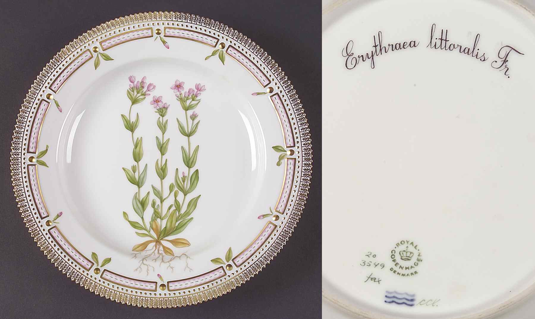 Flora Danica (1961 To Current) Dinner Plate-Erythraea littoralis Fr by Royal Copenhagen-1