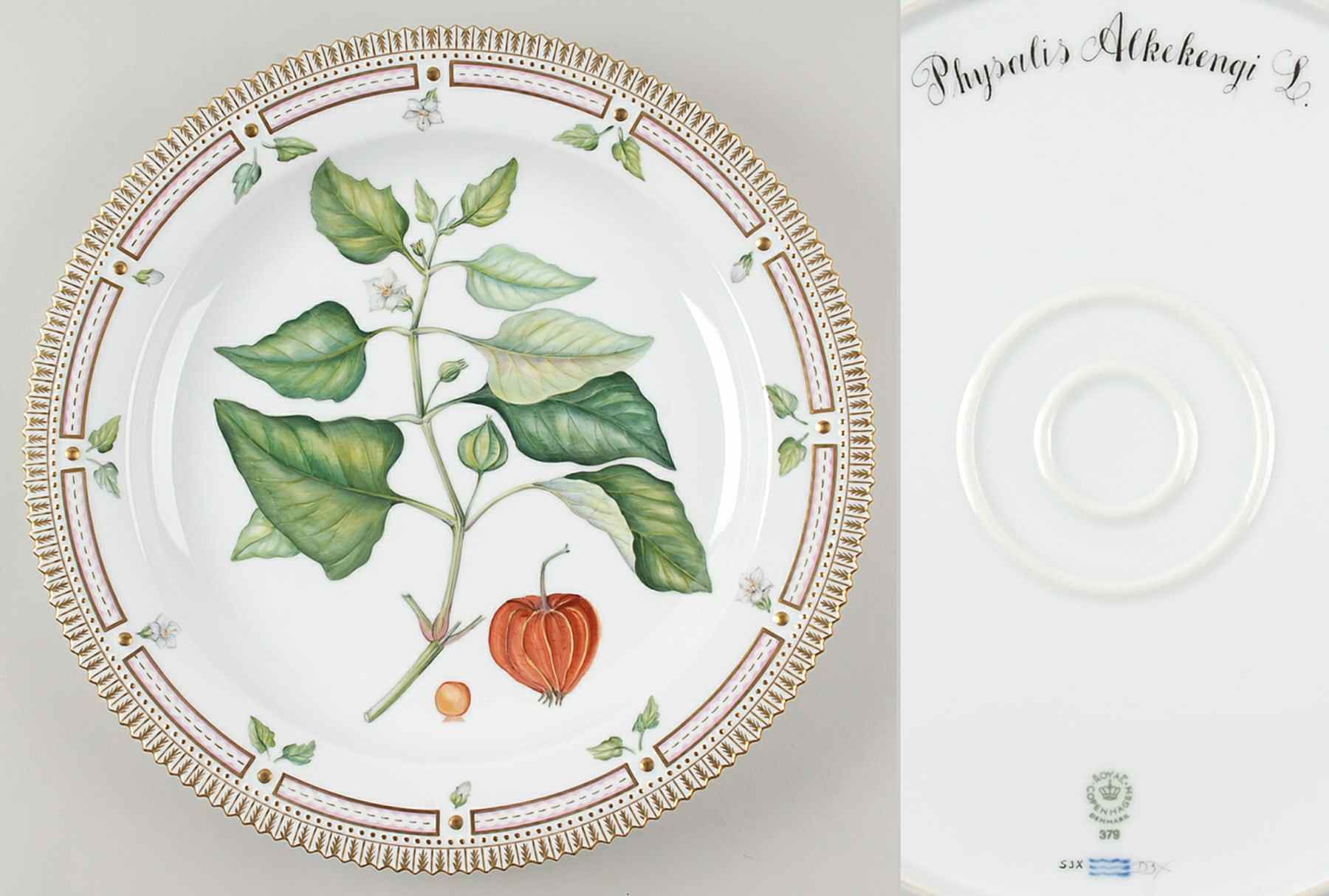 Flora Danica (1961 To Current) 15" Round Platter-Physalis Alkekengi L by Royal Copenhagen-1