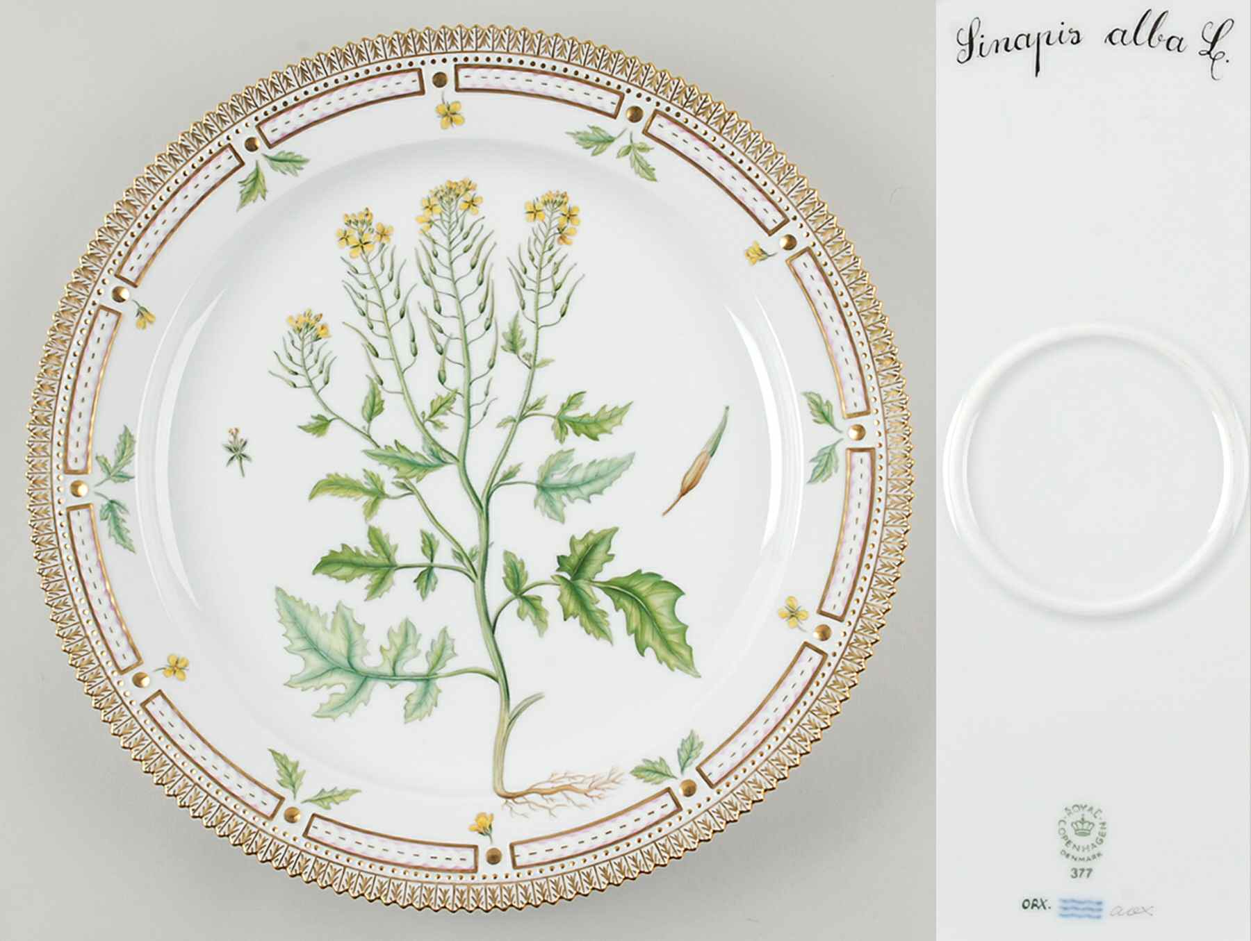 Flora Danica (1961 To Current) 14" Round Platter-Sinapis alba L by Royal Copenhagen-1