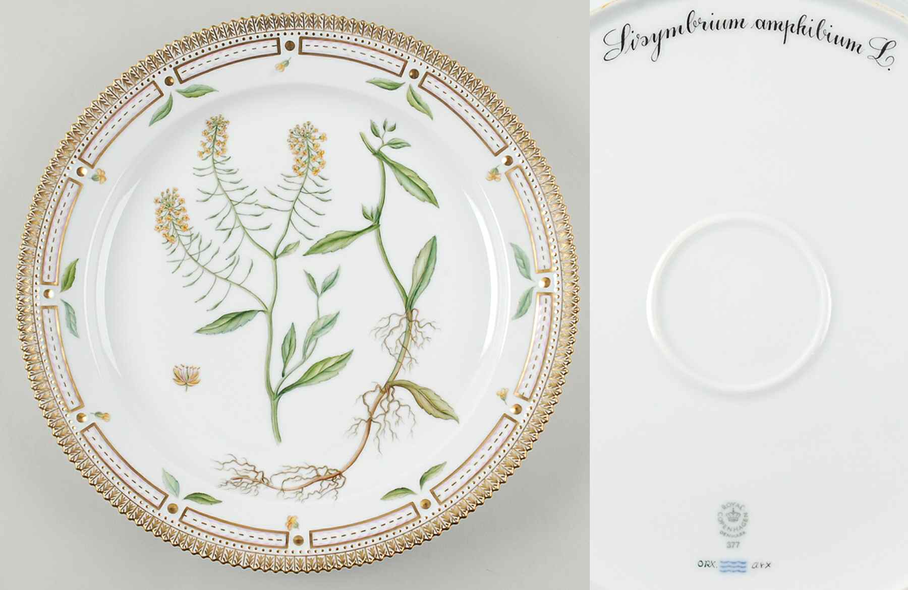Flora Danica (1961 To Current) 14" Round Platter-Sisymbrium amphibium L by Royal Copenhagen-1
