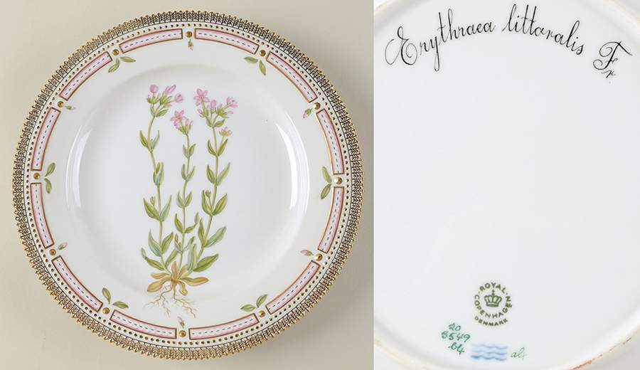 Flora Danica (1961 To Current) Dinner Plate-Erythraca littoralis by Royal Copenhagen-1