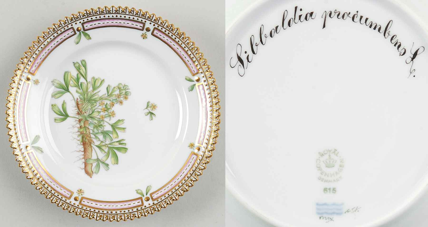 Flora Danica (1961 To Current) Bread & Butter Plate-Sibbaldia procumbens L by Royal Copenhagen-1