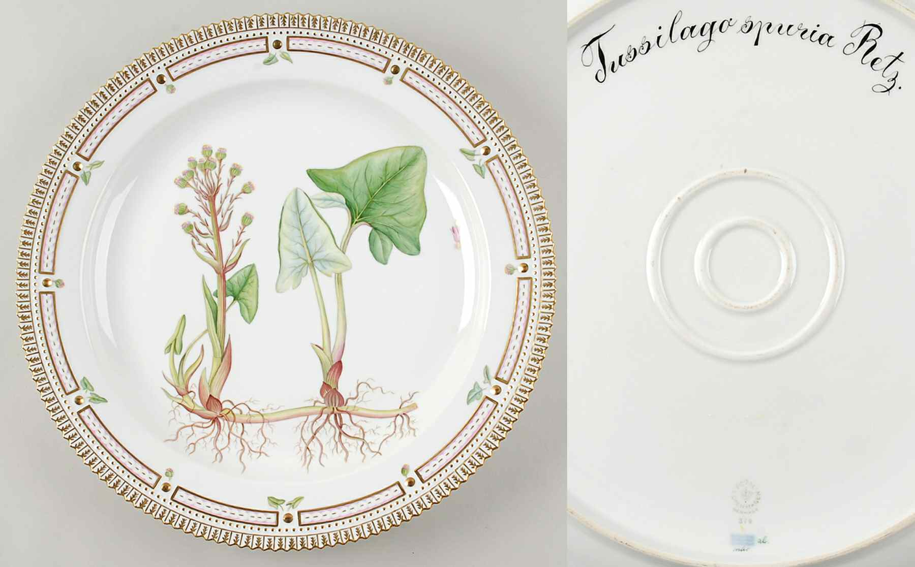 Flora Danica (1961 To Current) 15" Round Platter-Tussilago spuria Retz by Royal Copenhagen-1