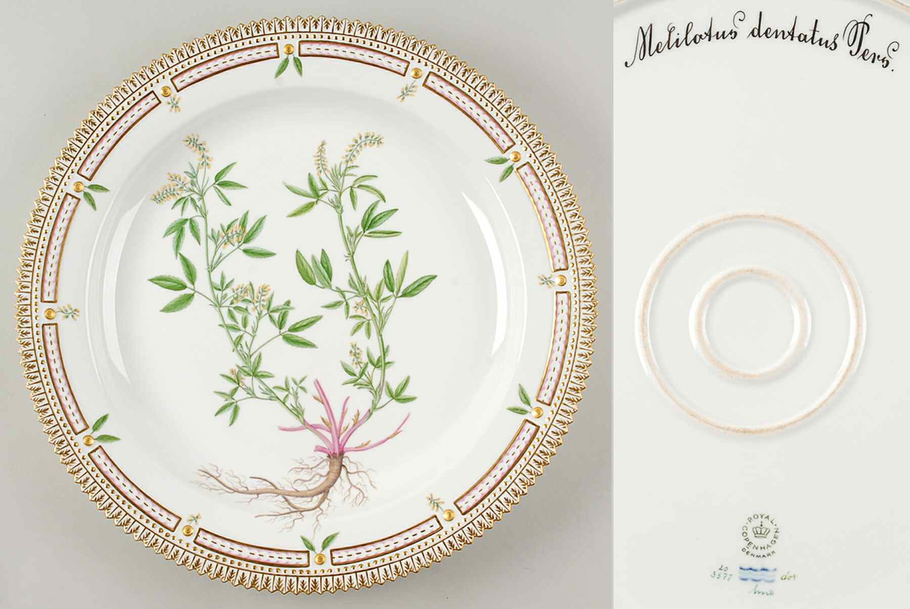 Flora Danica (1961 To Current) 15" Round Platter-Melilotus dentatus Pers by Royal Copenhagen-1
