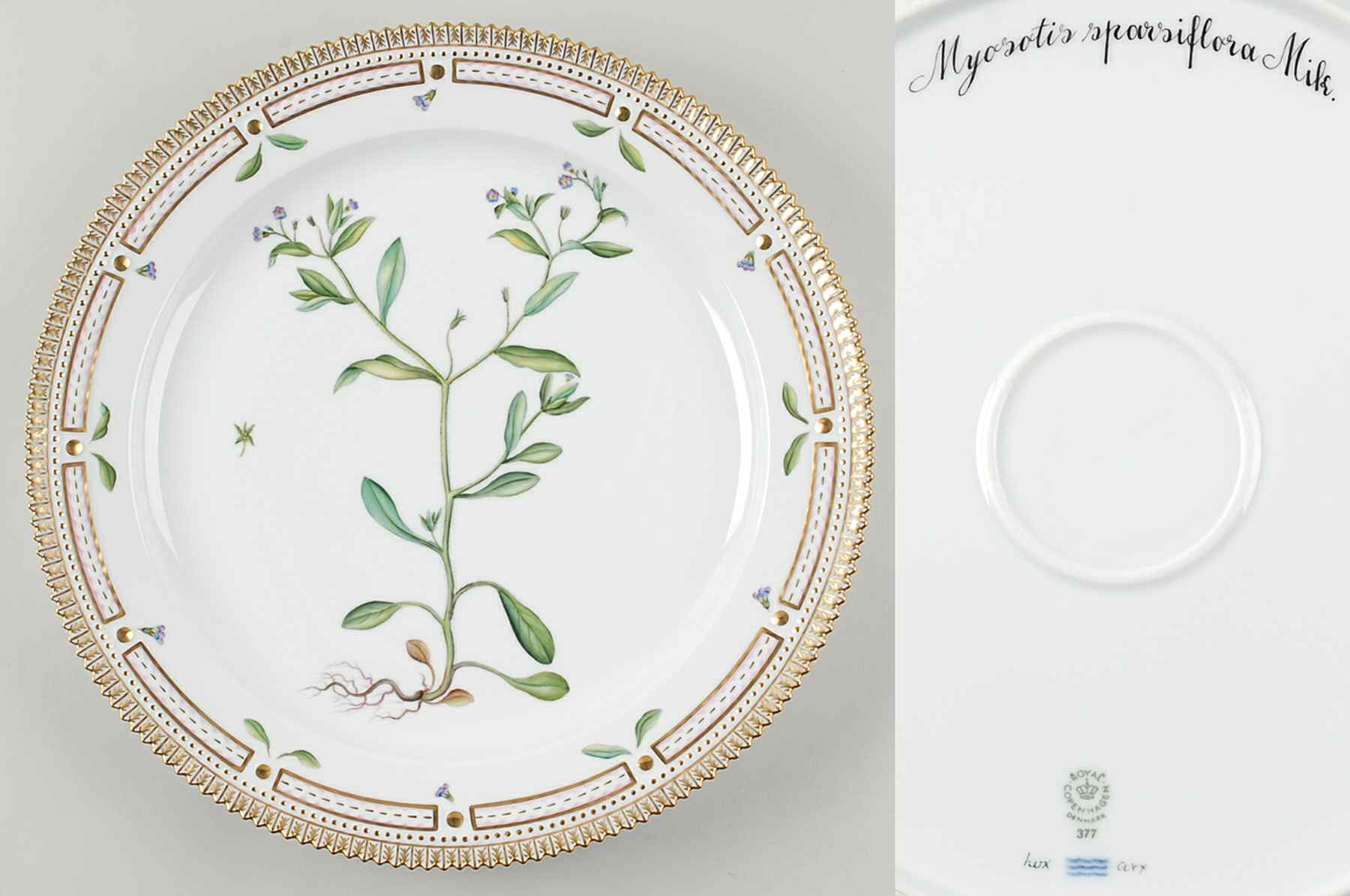 Flora Danica (1961 To Current) 14" Round Platter-Myosotis sparsiflora Mik by Royal Copenhagen-1
