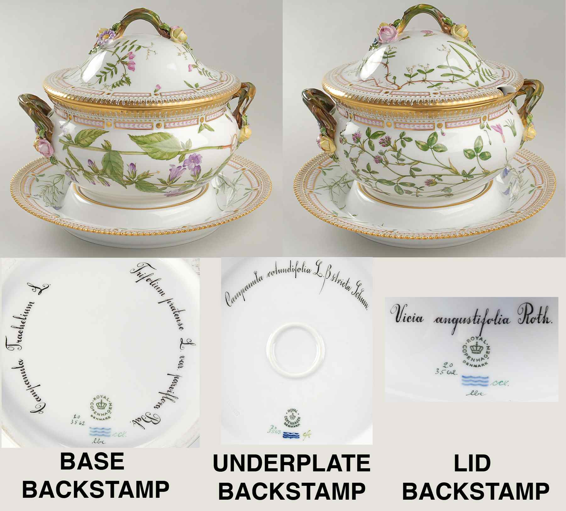 Flora Danica (1961 To Current) 3Qt Tureen & Lid w/Underplate-Campan,Vicia, Camp r by Royal Copenhagen-1