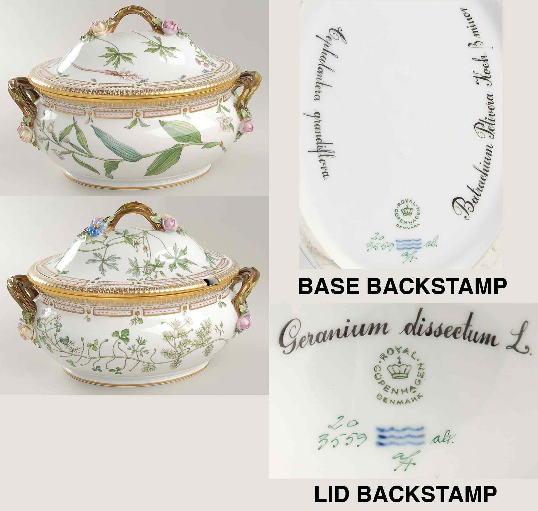 Flora Danica (1961 To Current) 4 Qt Oval Tureen & Lid-Cepha Gra, Batr P, Geranium by Royal Copenhagen-1