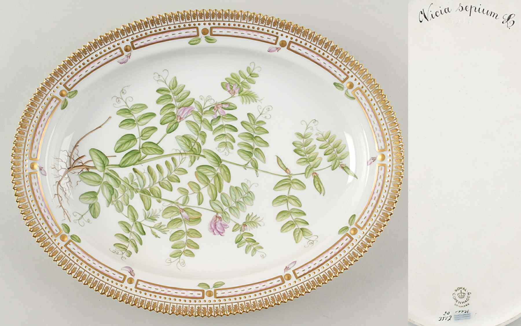 Flora Danica (1961 To Current) 14" Oval Serving Platter-Vicia sepium L by Royal Copenhagen-1