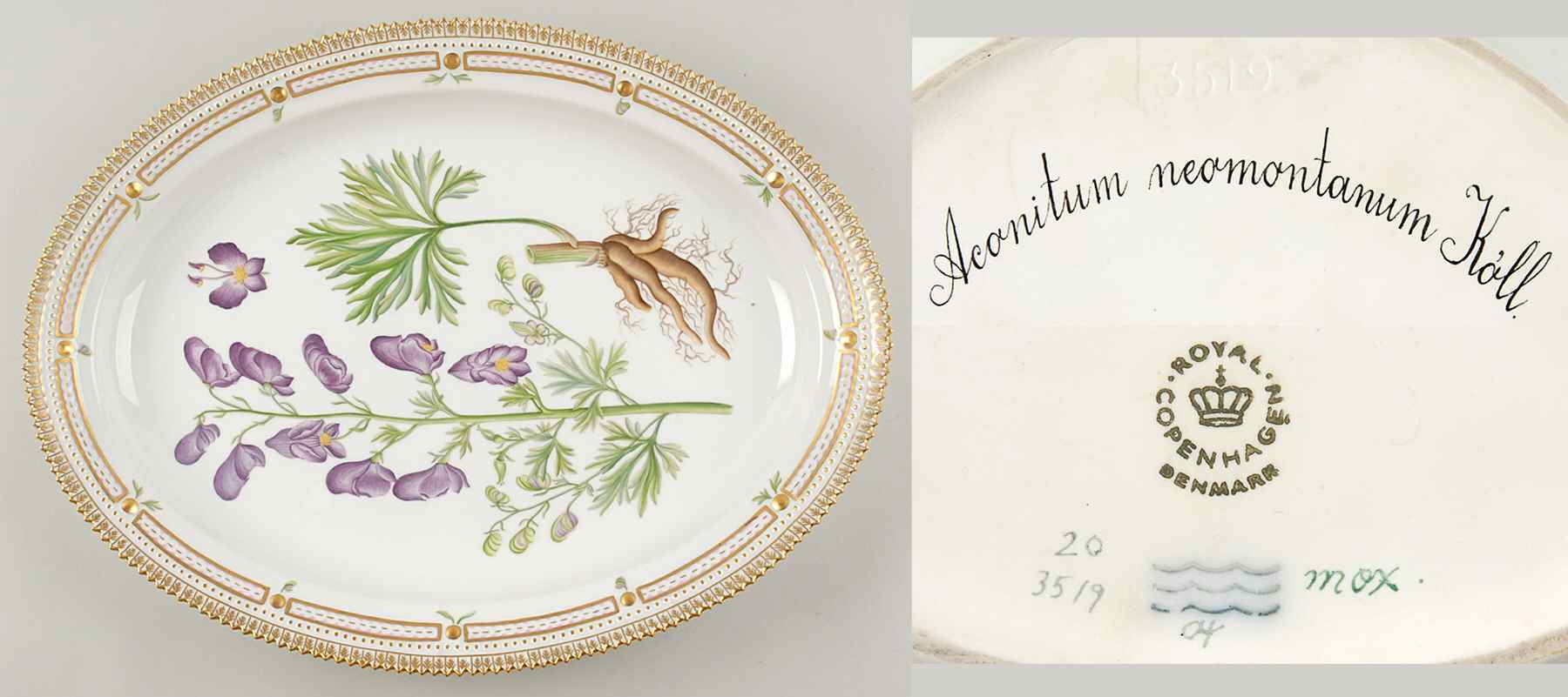 Flora Danica (1961 To Current) 17" Oval Serving Platter-Aconitum neomontanum Koll by Royal Copenhagen-1