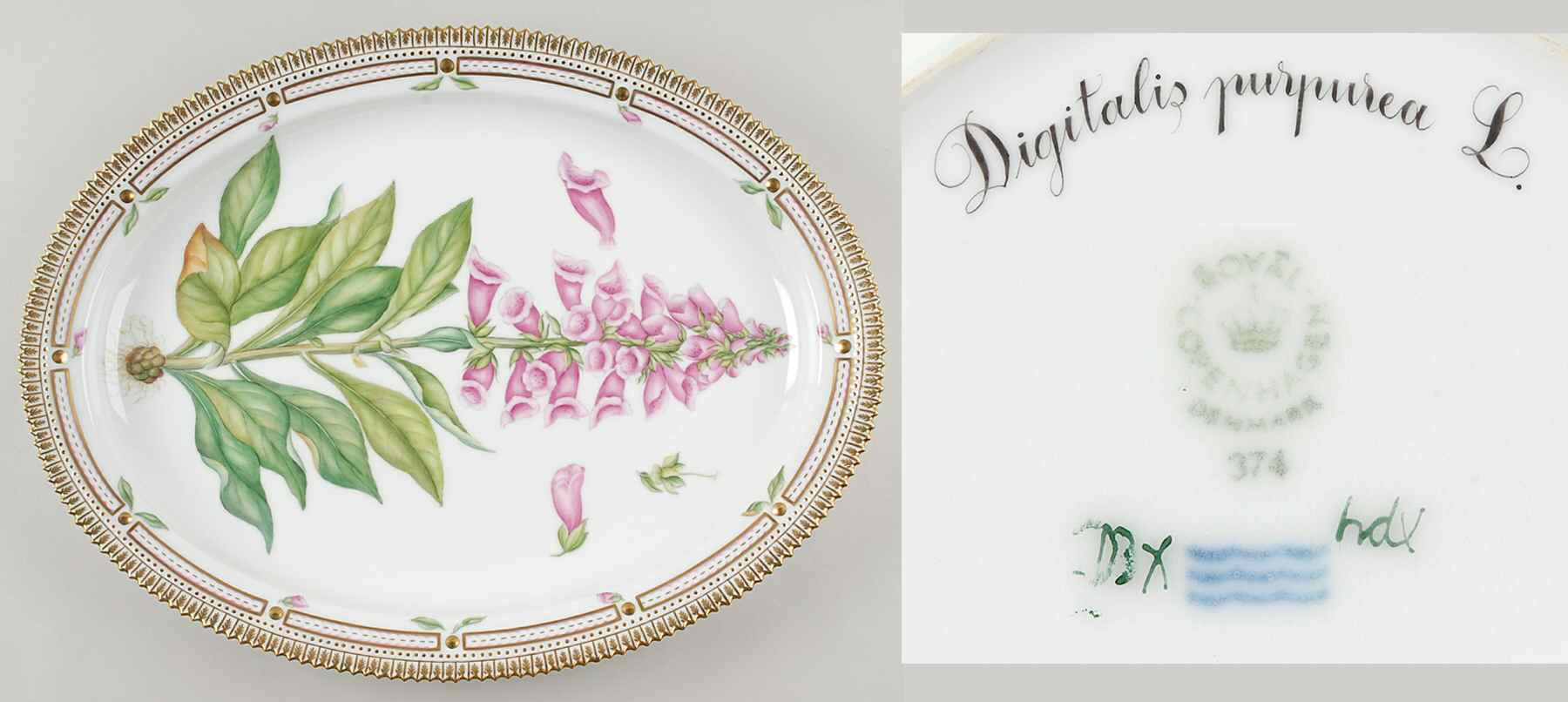 Flora Danica (1961 To Current) 18" Oval Serving Platter-Digitalis purpurea L by Royal Copenhagen-1