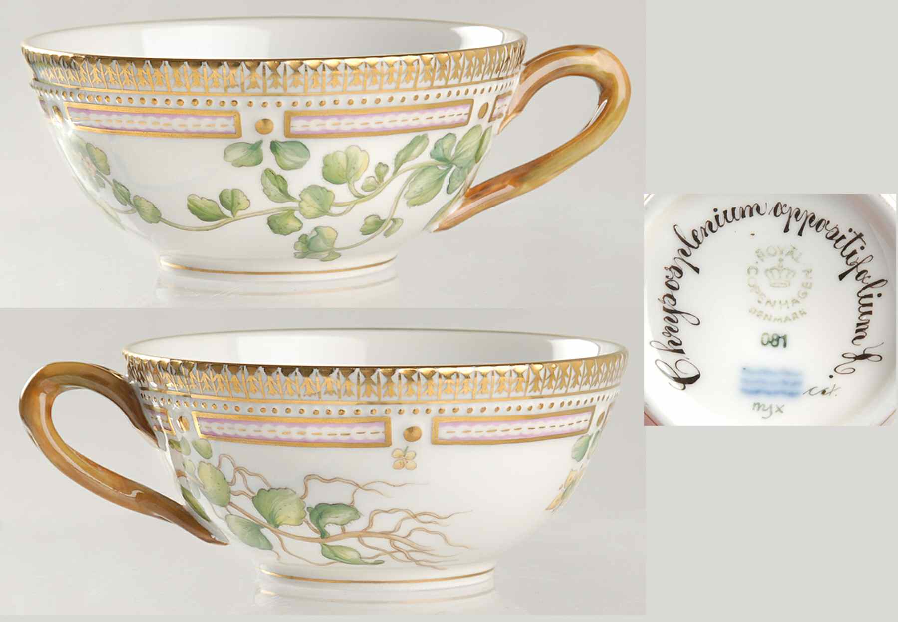 Flora Danica (1961 To Current) Flat Tea Cup-Chrysosplenium oppositifolium L by Royal Copenhagen-1