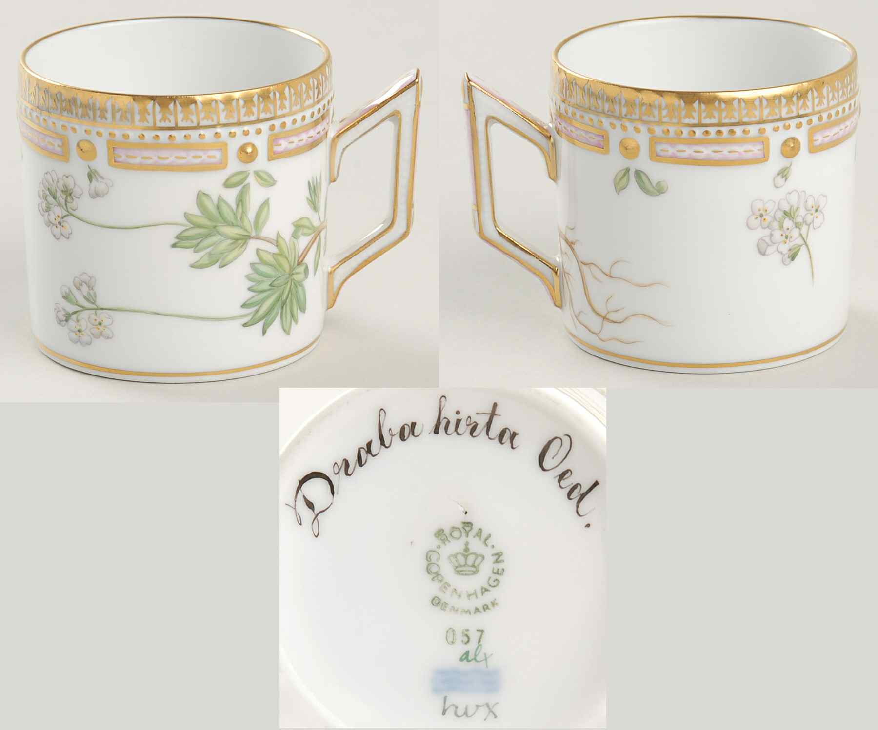 Flora Danica (1961 To Current) Flat Demitasse Cup-Draba hirta Oed by Royal Copenhagen-1