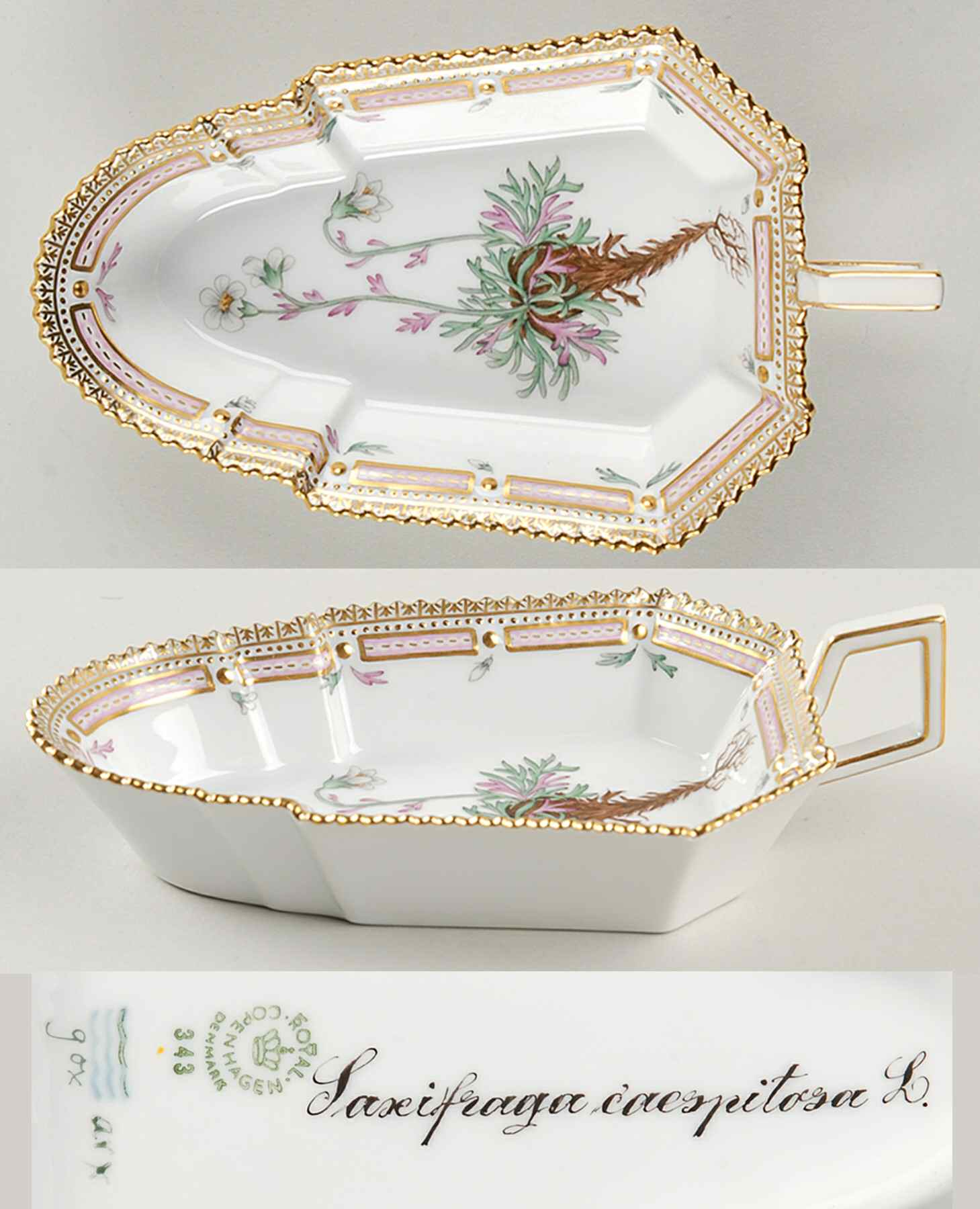 Flora Danica (1961 To Current) 7" Pickle/Accent Dish-Saxifraga caespitosa L by Royal Copenhagen-1