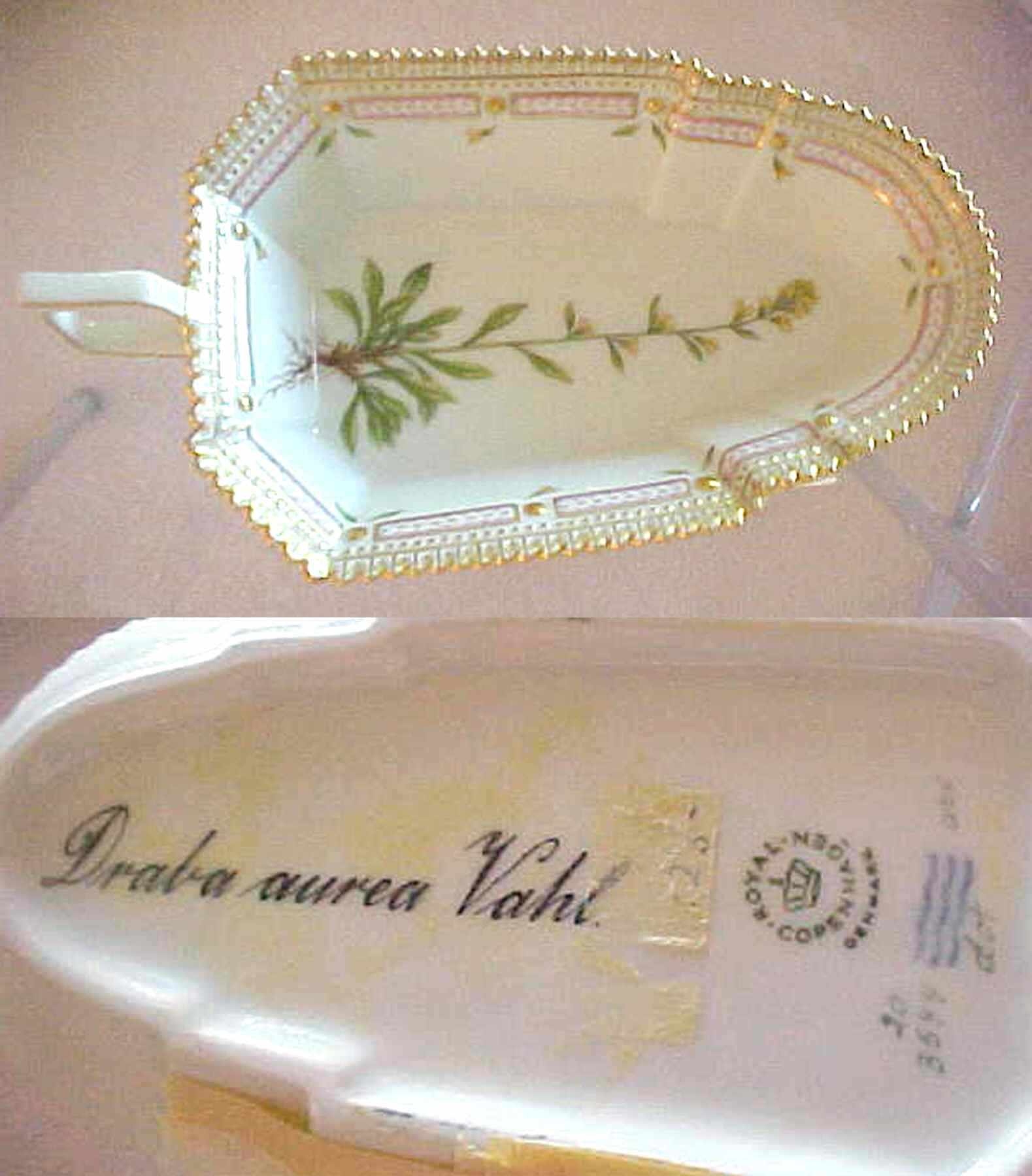 Flora Danica (1961 To Current) 8" Pickle/Accent Dish-Draba aurea Vahl by Royal Copenhagen-1