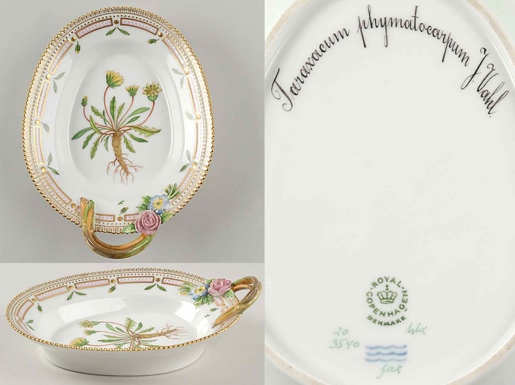 Flora Danica (1961 To Current) 8" Oval Handled Pickle/Accent-Taraxacum phymatocar by Royal Copenhagen-1