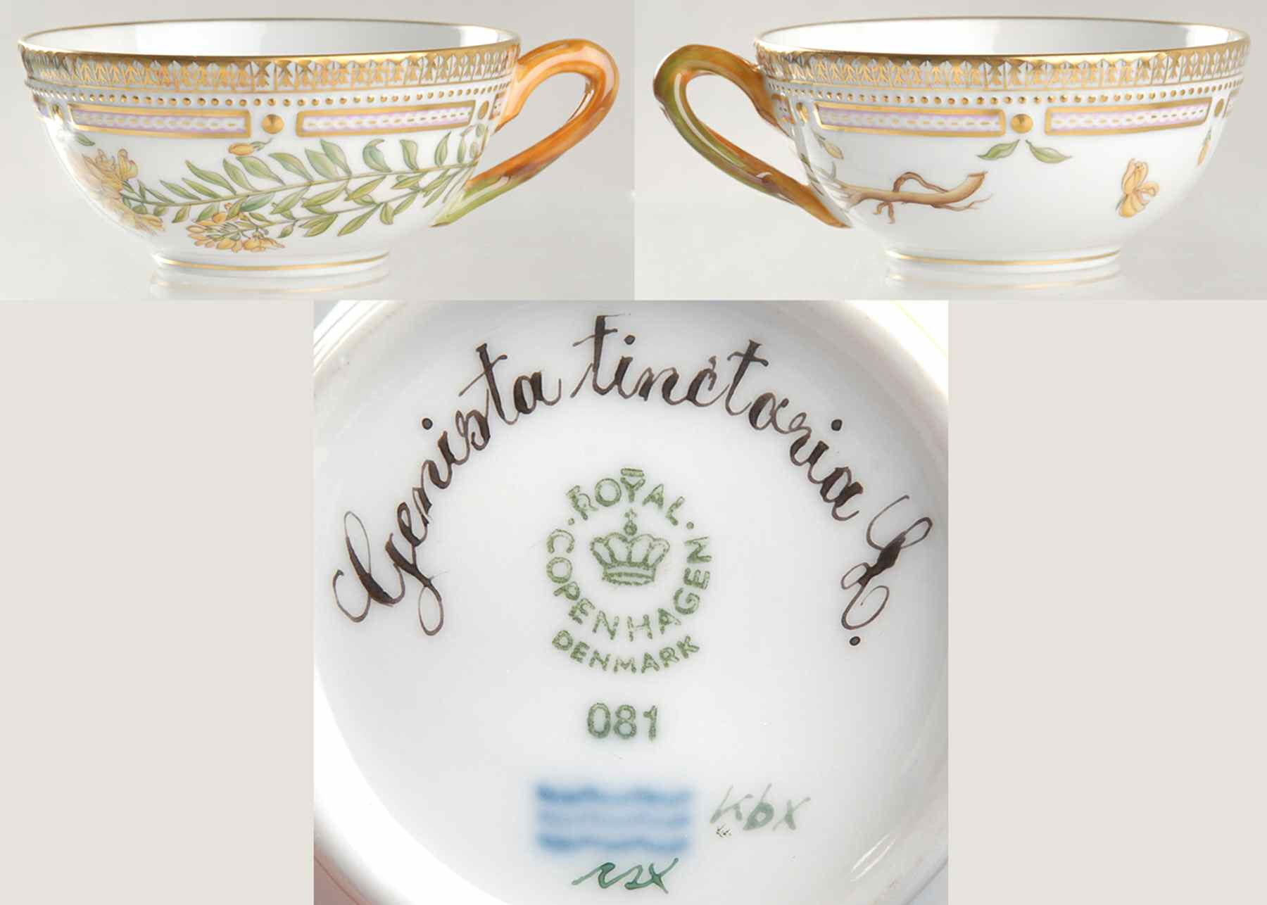 Flora Danica (1961 To Current) Flat Tea Cup-Genista tinctoria L by Royal Copenhagen-1