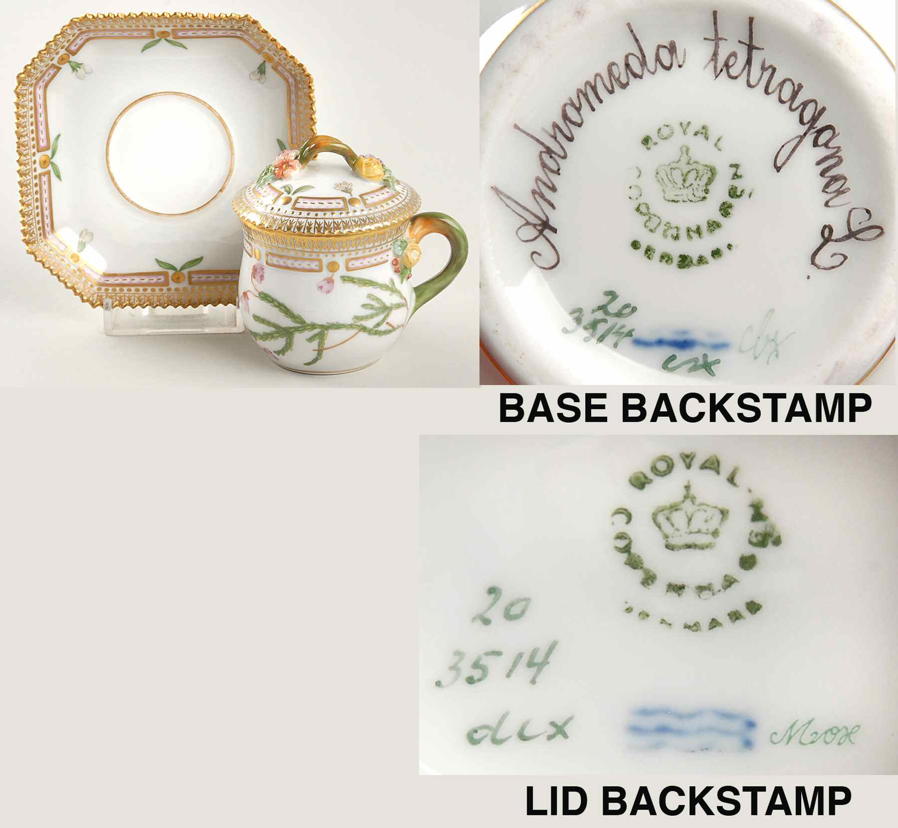 Flora Danica (1961 To Current) Round Custard Cup, Saucer & Lid-Andromeda tetragon by Royal Copenhagen-1