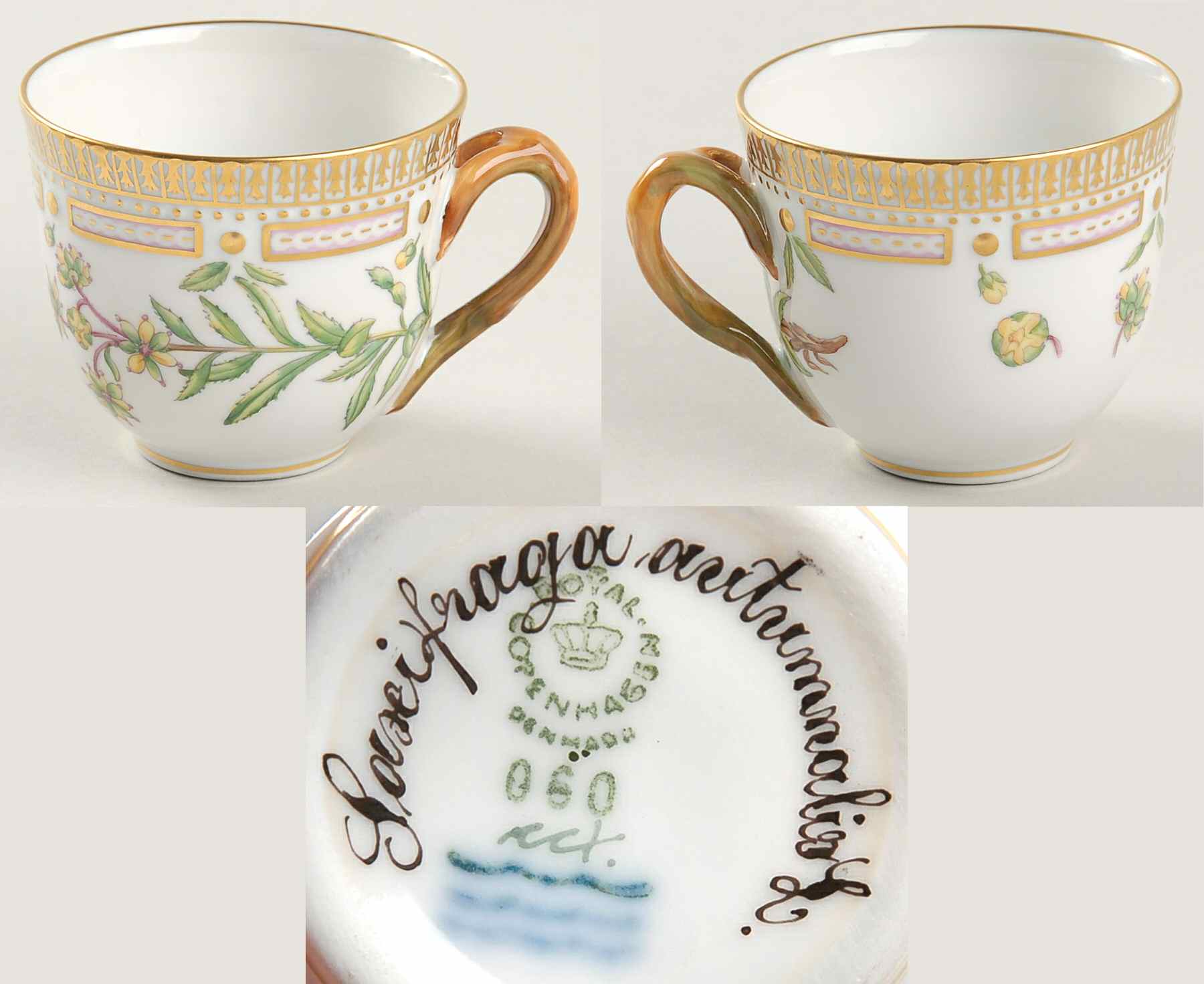Flora Danica (1961 To Current) Flat Demitasse Cup-Saxifraga autumnalis L by Royal Copenhagen-1