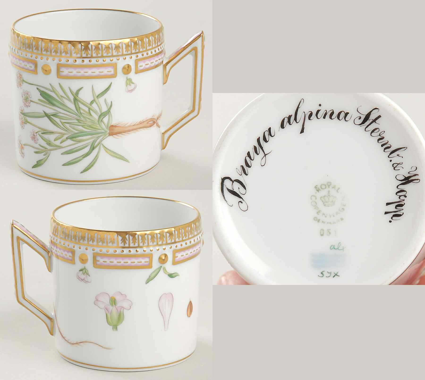 Flora Danica (1961 To Current) Chocolate Cup-Braya alpina Sternb & Hopp by Royal Copenhagen-1