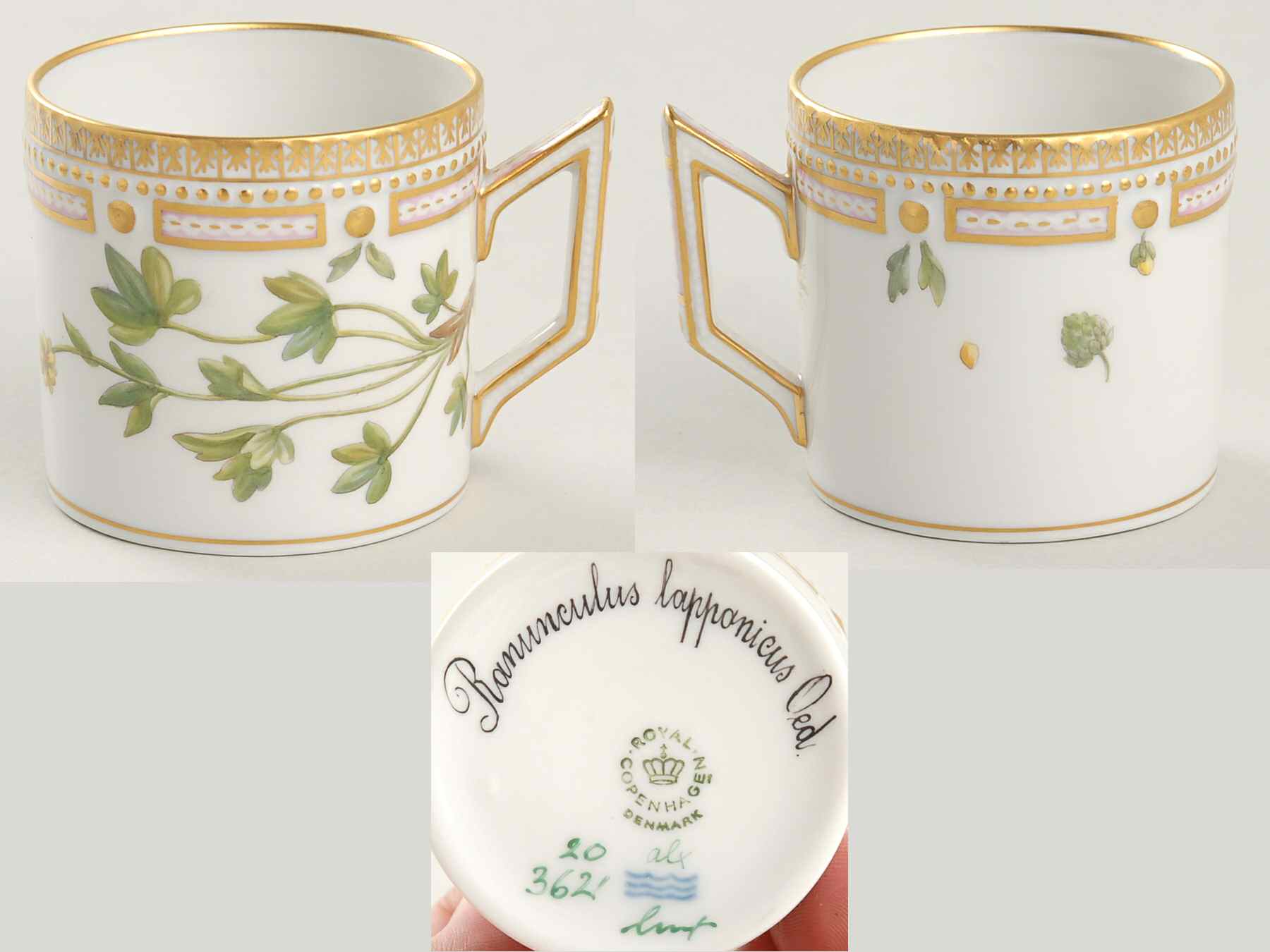 Flora Danica (1961 To Current) Flat Demitasse Cup-Ranunculus lapponicus Oed by Royal Copenhagen-1