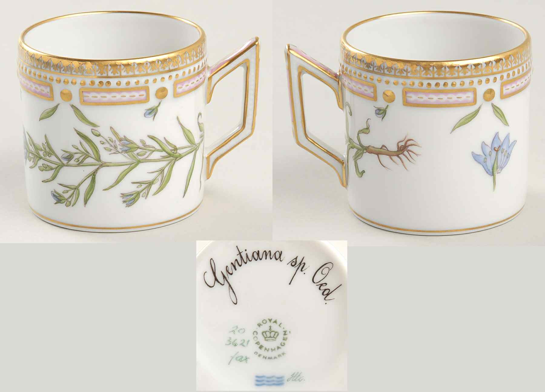 Flora Danica (1961 To Current) Flat Demitasse Cup-Gentiana sp Oed by Royal Copenhagen-1