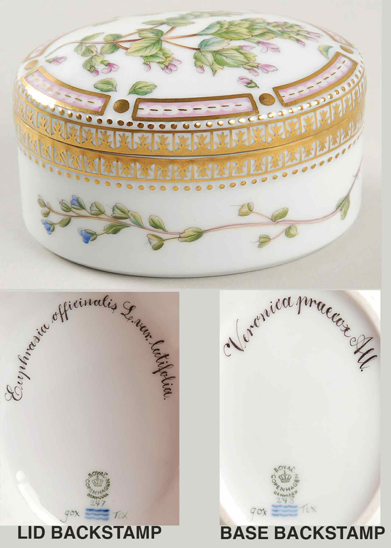Flora Danica (1961 To Current) Small Oval Box & Lid-Euphrasia off & Veronica prae by Royal Copenhagen-1