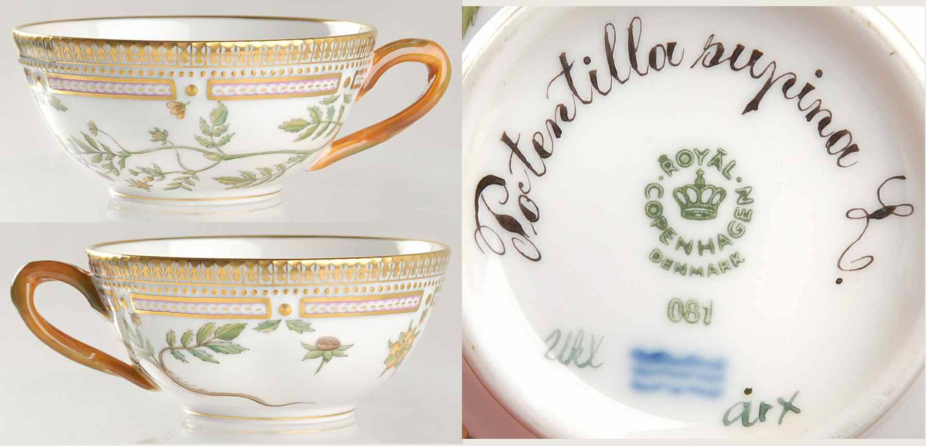 Flora Danica (1961 To Current) Flat Tea Cup-Potentilla supina L by Royal Copenhagen-1