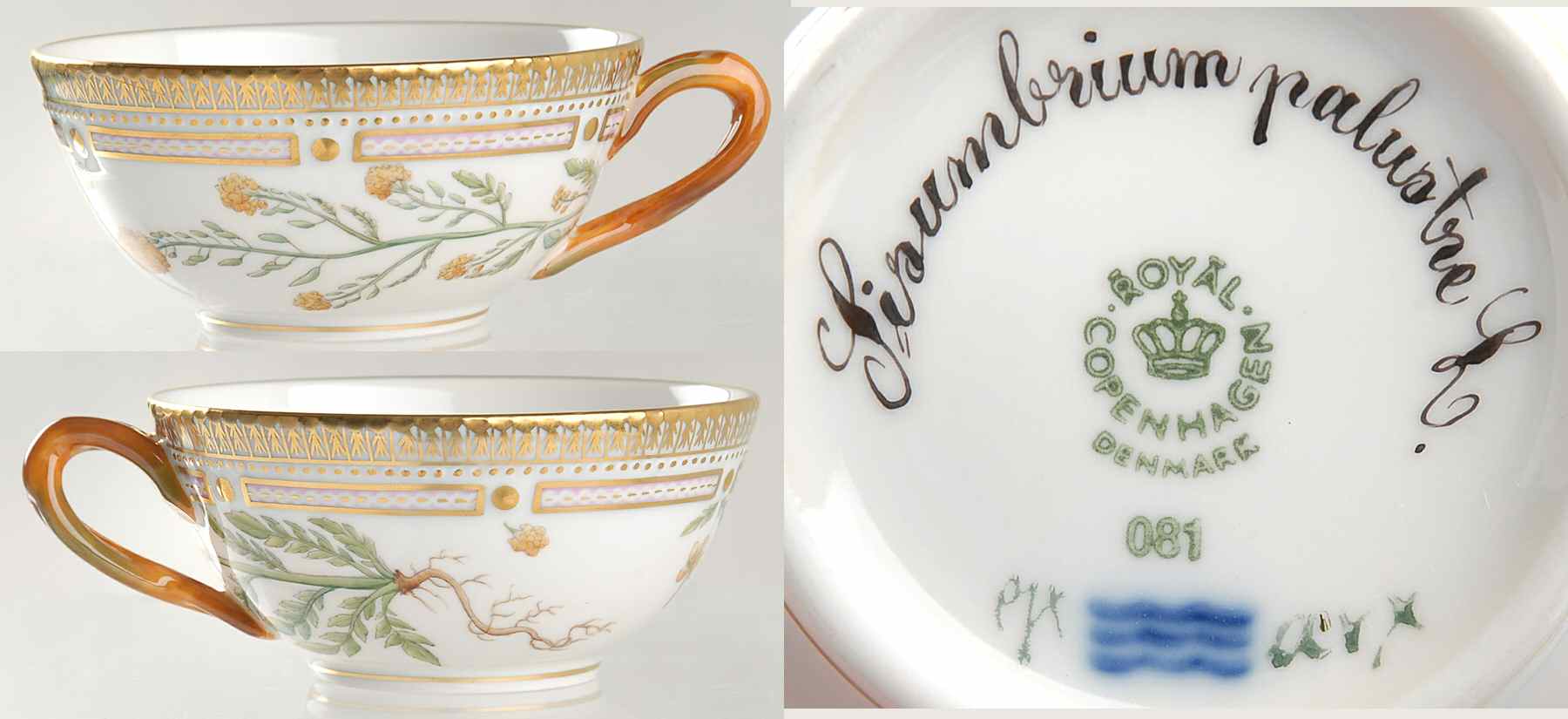 Flora Danica (1961 To Current) Flat Tea Cup-Sisumbrium palustre L by Royal Copenhagen-1