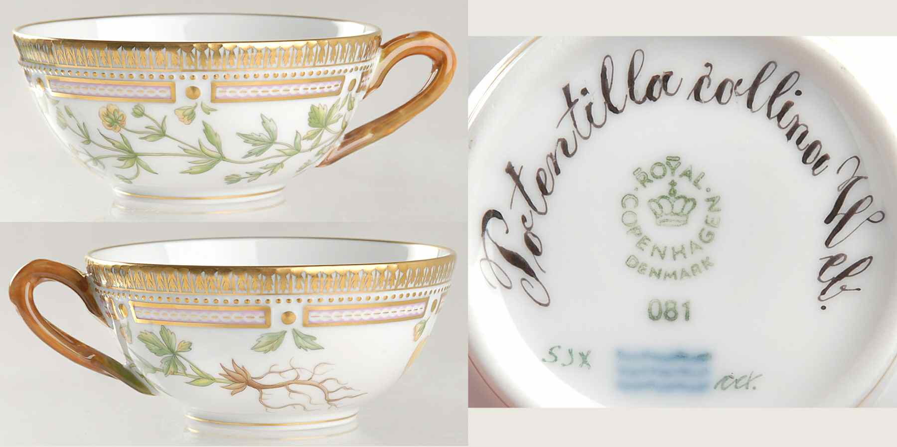 Flora Danica (1961 To Current) Flat Tea Cup-Potentilla collina Web by Royal Copenhagen-1