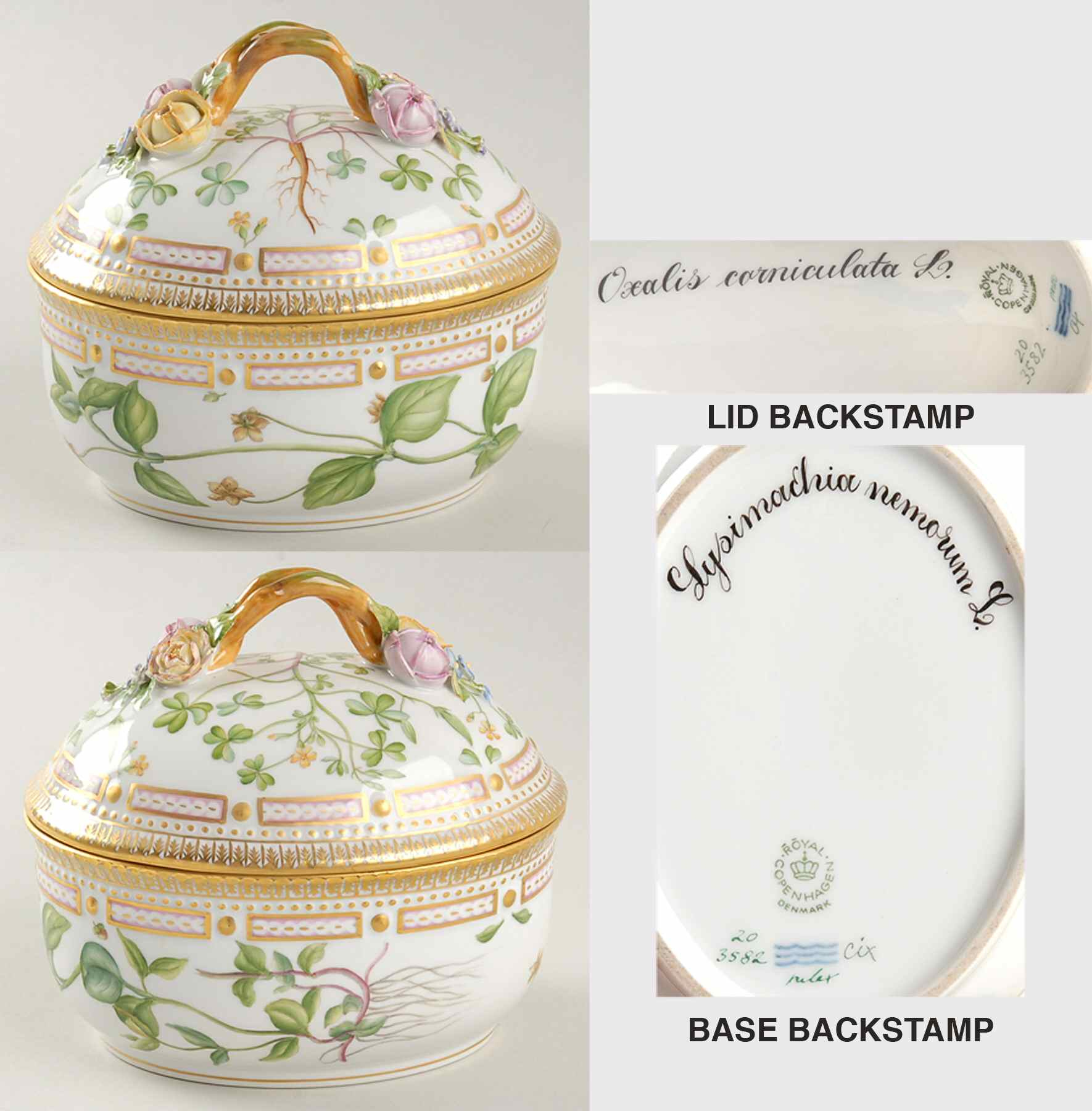 Flora Danica (1961 To Current) Large Sugar Bowl & Lid-Oxalis corniculata & Lysima by Royal Copenhagen-1