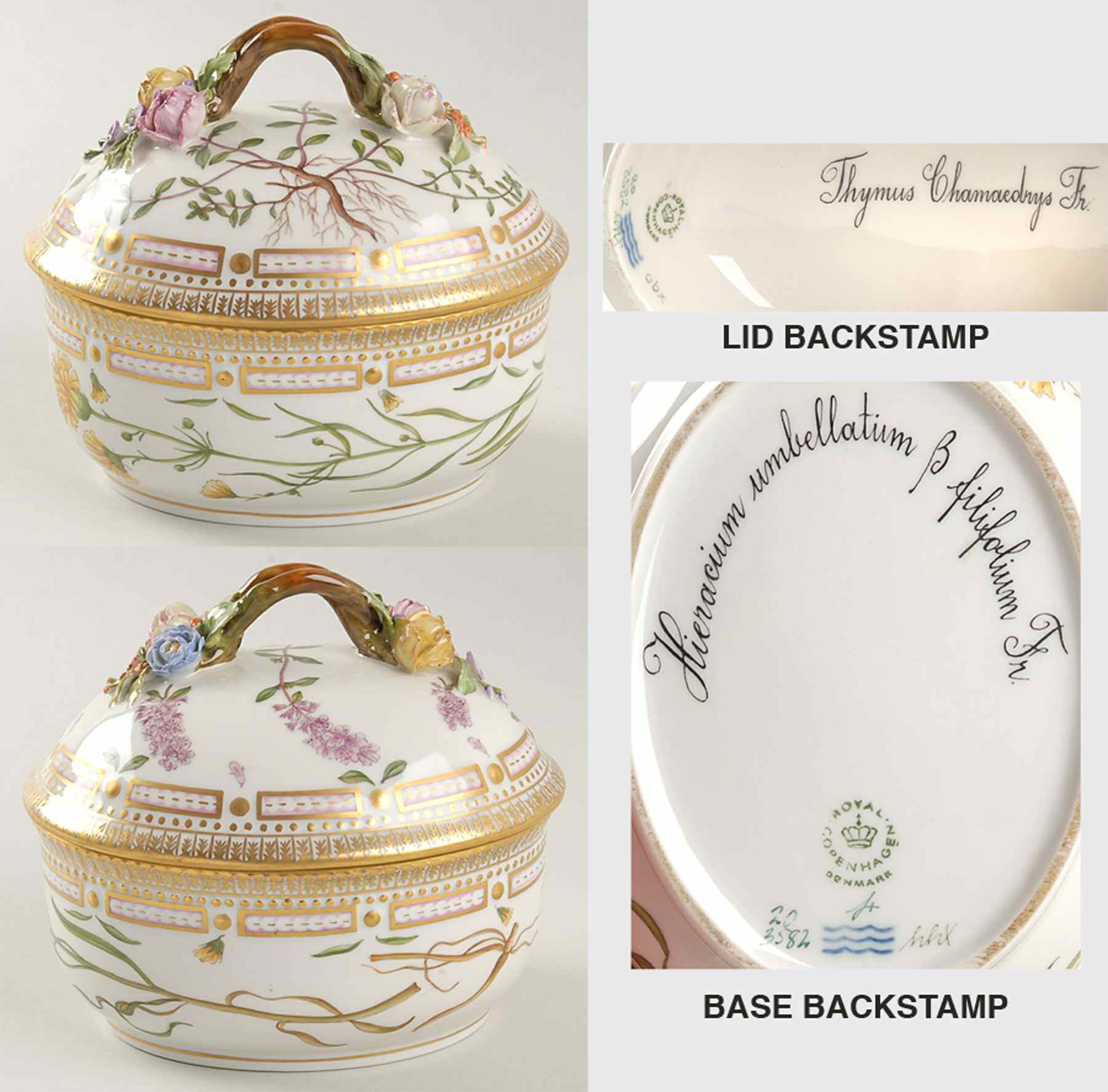 Flora Danica (1961 To Current) Large Sugar Bowl & Lid-Thymus chamaedrys & Hieraci by Royal Copenhagen-1
