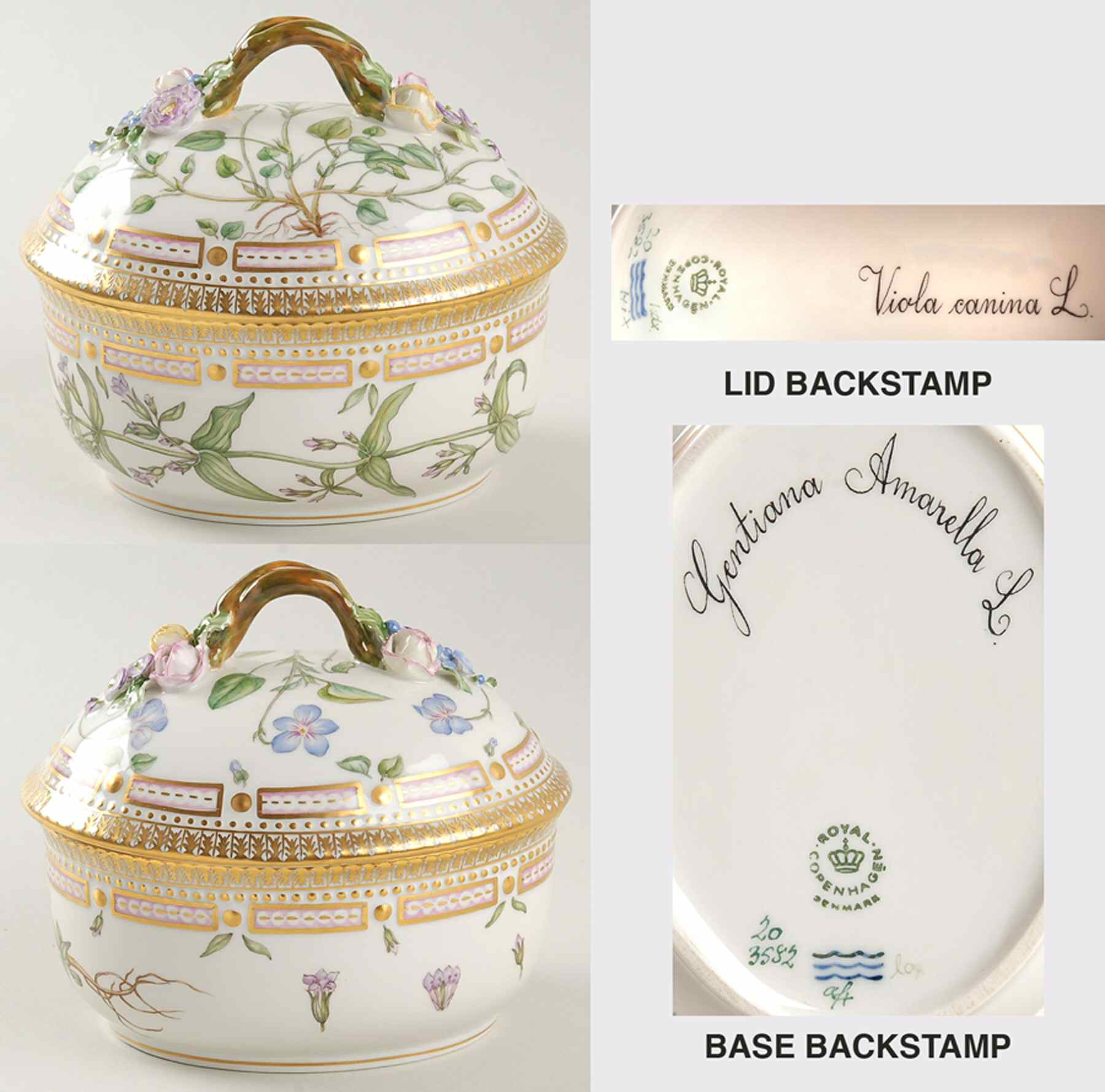 Flora Danica (1961 To Current) Large Sugar Bowl & Lid-Viola cani & Gentiana amare by Royal Copenhagen-1
