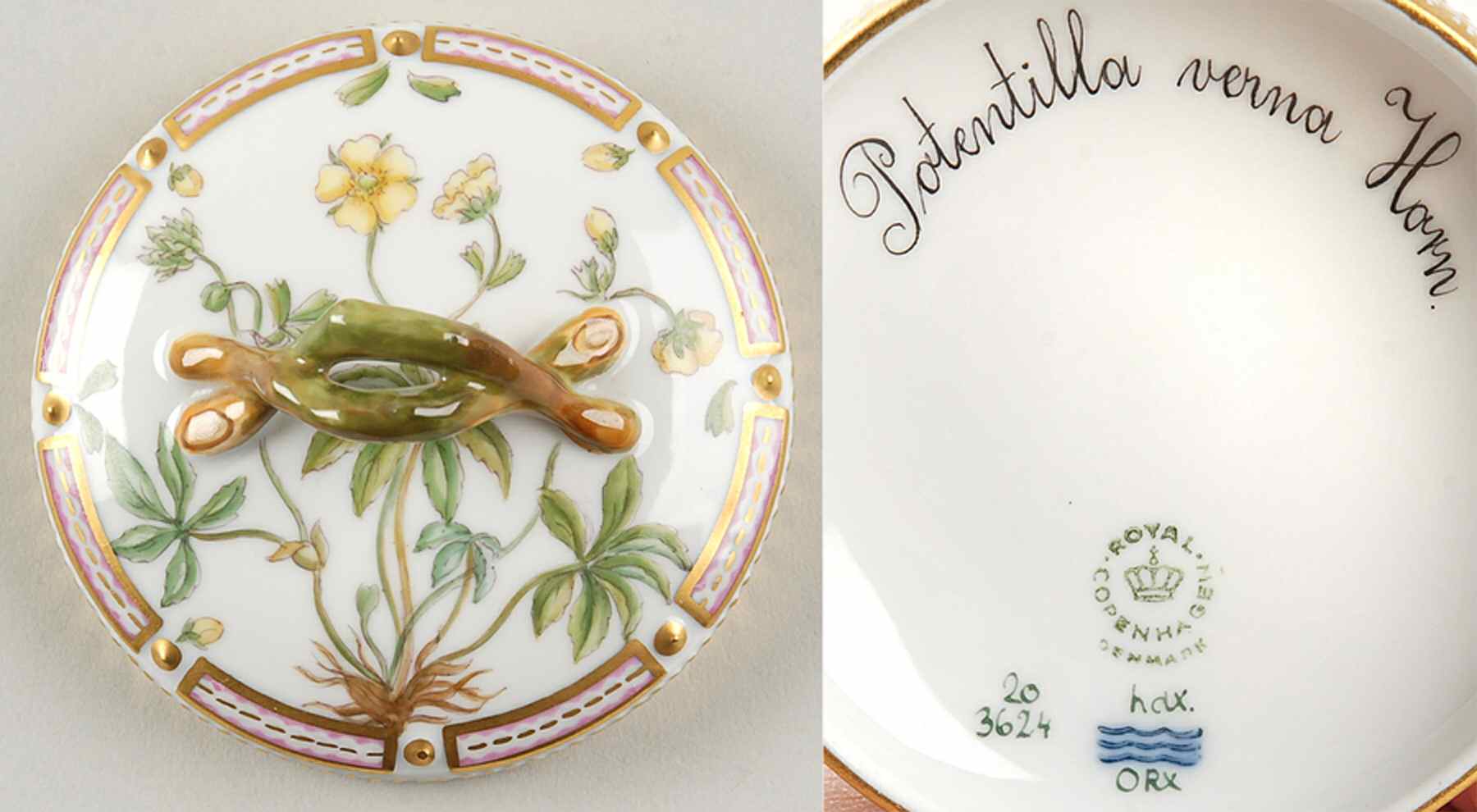 Flora Danica (1961 To Current) Lid for Small Sugar Bowl-Potentilla verna Horn by Royal Copenhagen-1