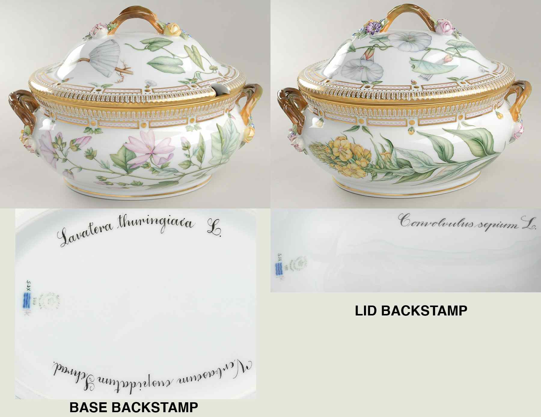 Flora Danica (1961 To Current) 5Qt Oval Tureen & Lid-Lavatera thur, Convol sepium by Royal Copenhagen-1
