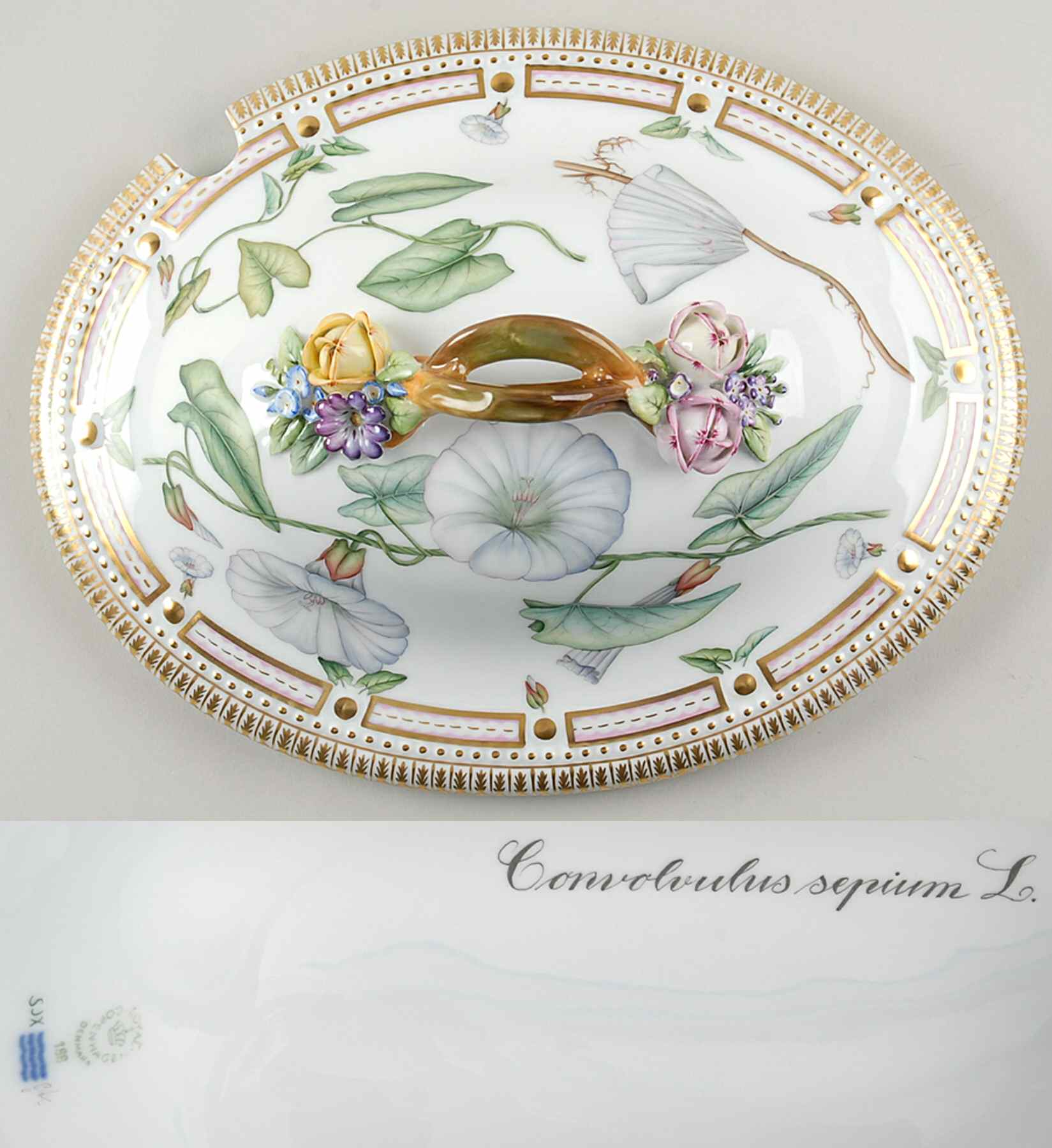 Flora Danica (1961 To Current) Lid for 5Qt Oval Tureen Convolvulus Sepium L by Royal Copenhagen-1