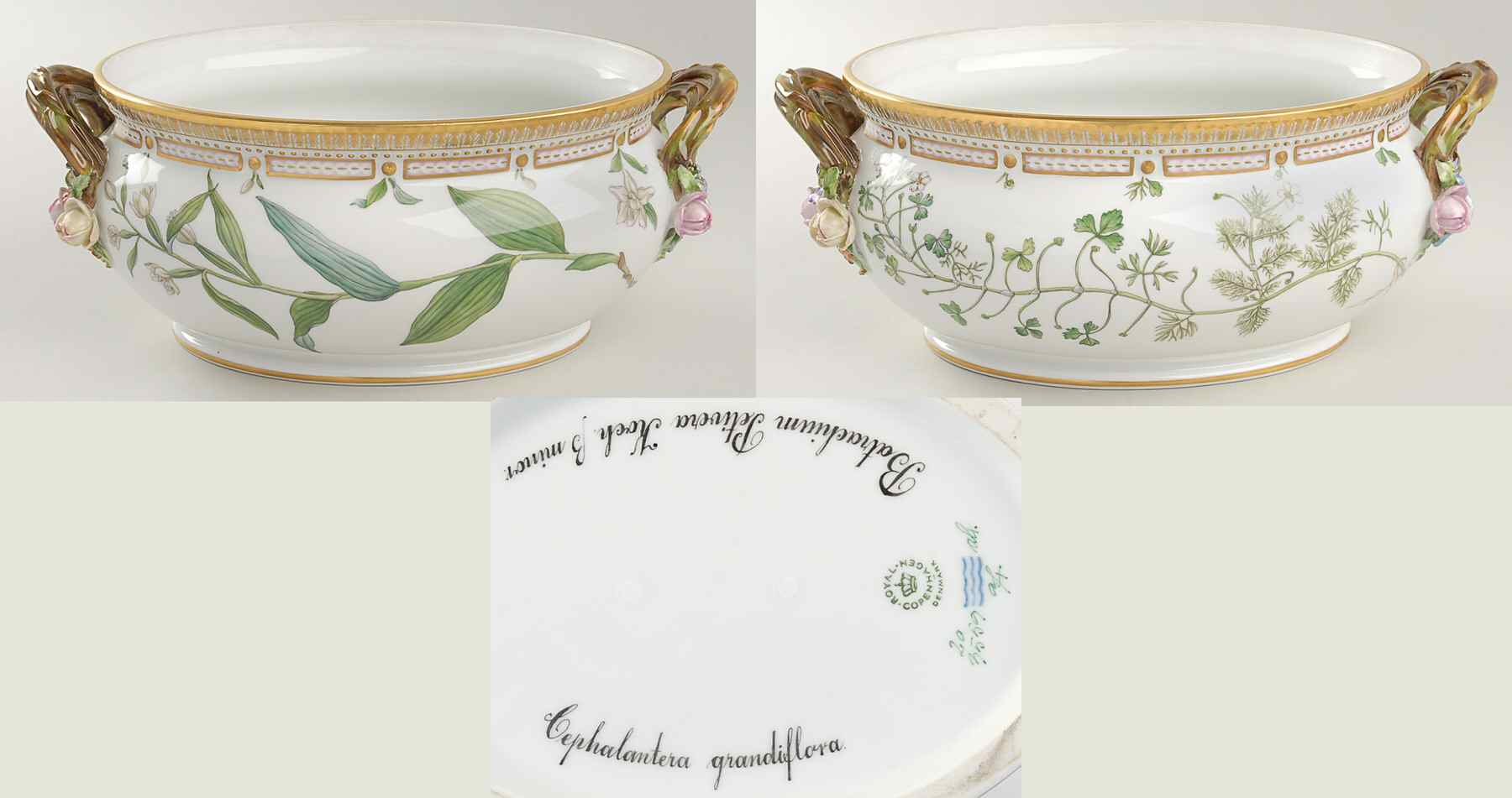 Flora Danica (1961 To Current) 4Qt Oval Tureen No Lid-Cephalantera gra,Batrachium by Royal Copenhagen-1