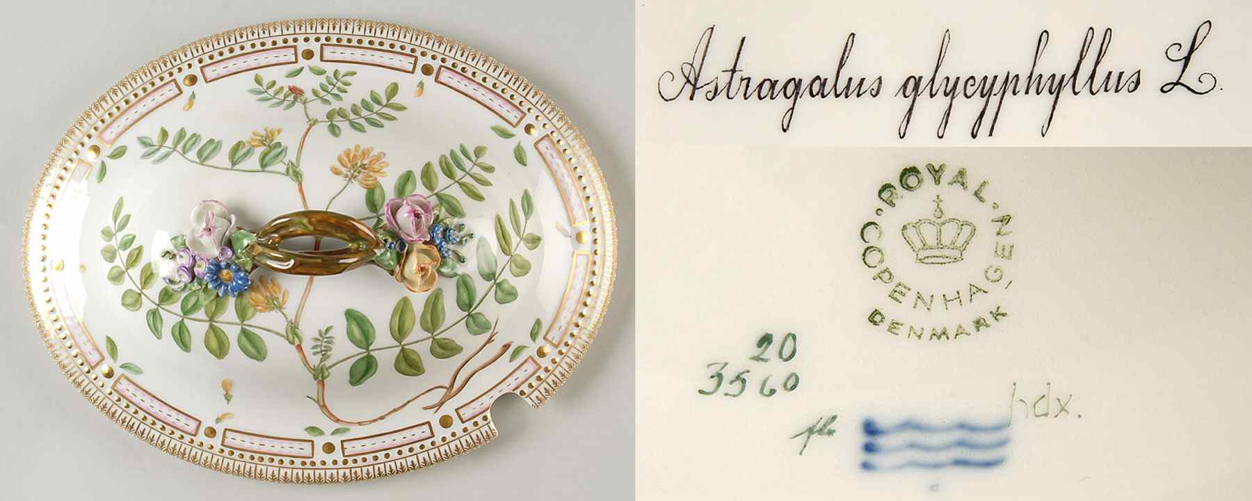 Flora Danica (1961 To Current) Lid for 5 Qt Oval Tureen Astragalus Glycyphyllus L by Royal Copenhagen-1