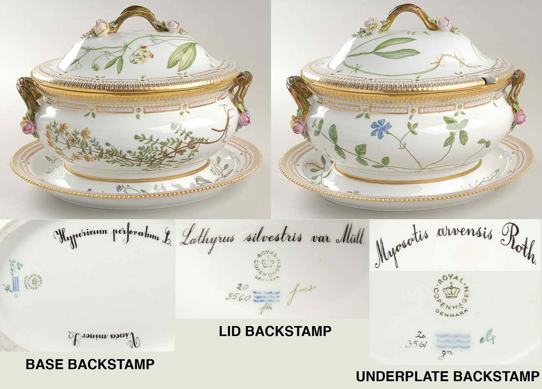 Flora Danica (1961 To Current) 5Qt Oval Tureen & Lid  w/Underplate-Hype,Lathy,Myo by Royal Copenhagen-1