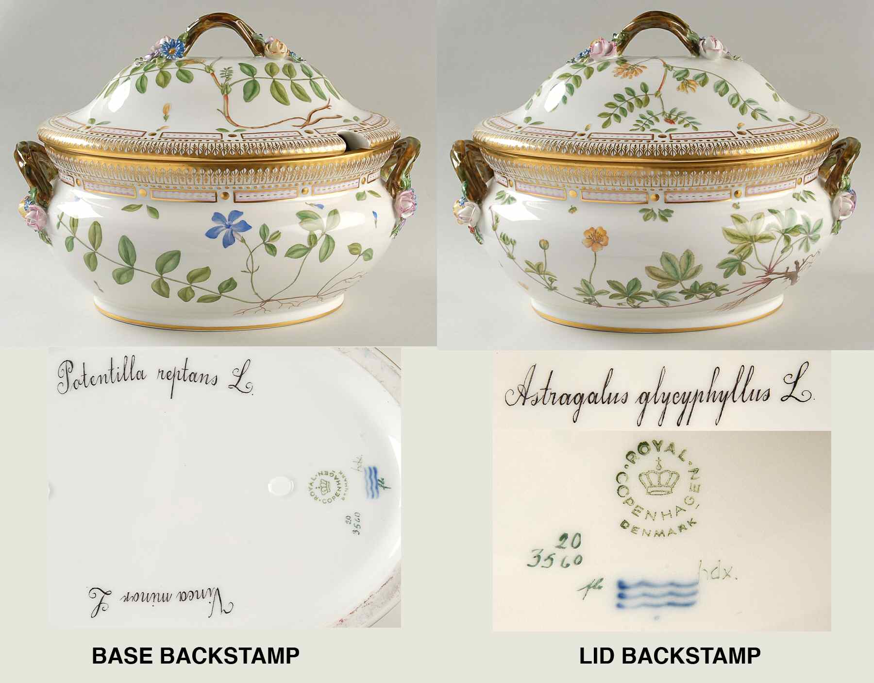Flora Danica (1961 To Current) 5Qt Oval Tureen & Lid-Vinca m,Potentilla r,Astraga by Royal Copenhagen-1