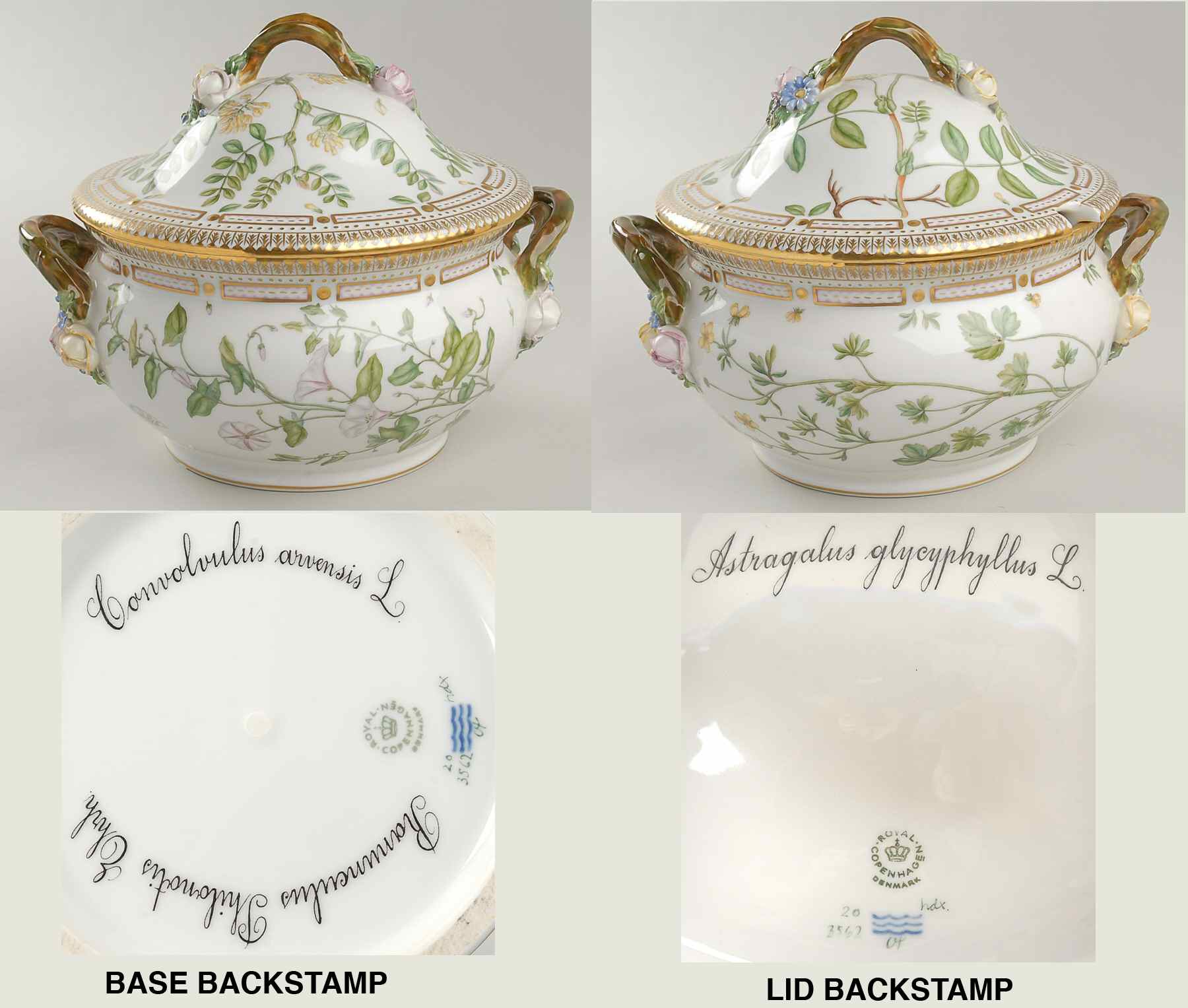 Flora Danica (1961 To Current) 3 Qt Tureen & Lid-Convol arven, Ranu Phil, Astra g by Royal Copenhagen-1