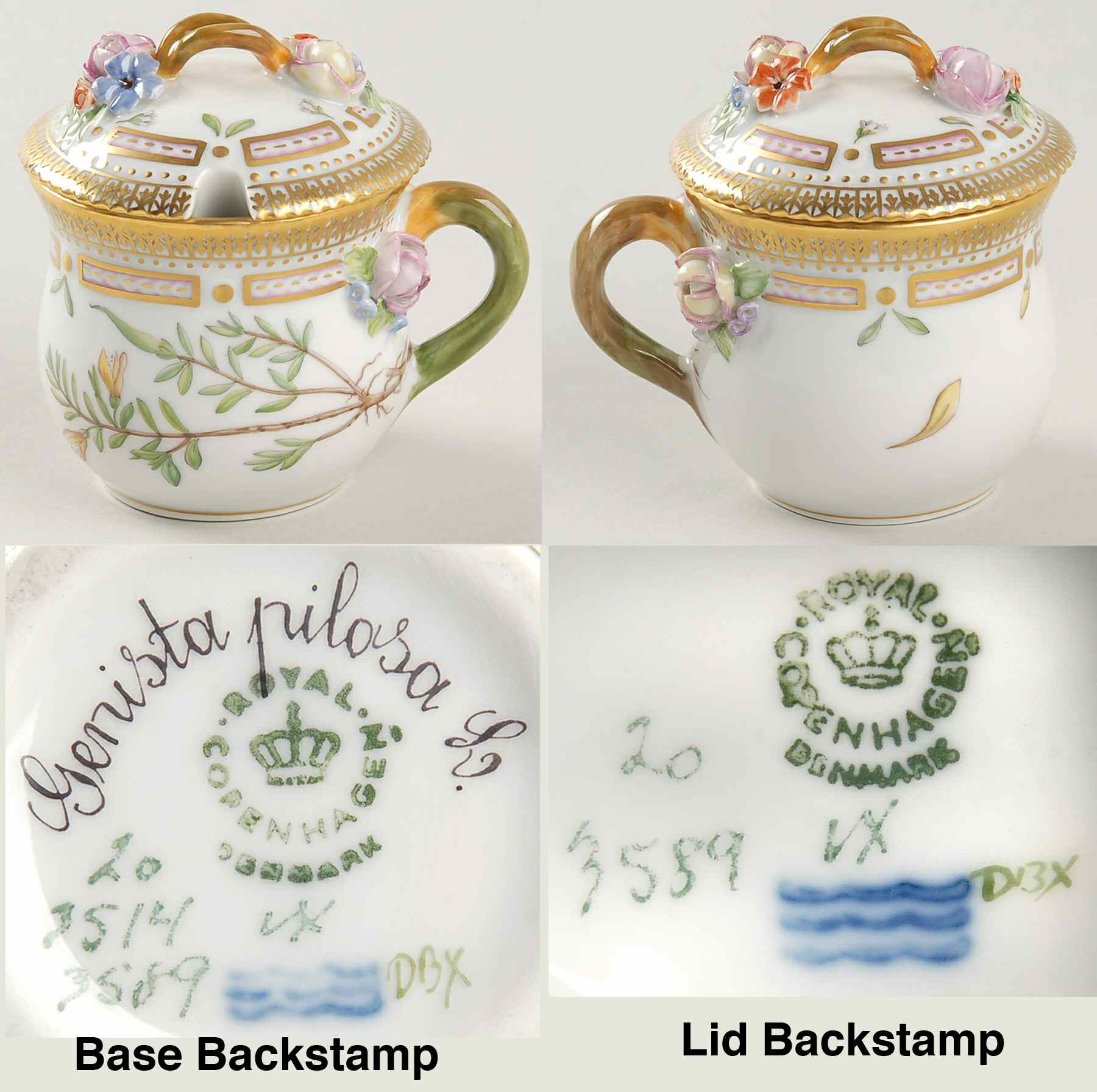 Flora Danica (1961 To Current) Mustard Pot & Lid-Genista pilosa L by Royal Copenhagen-1