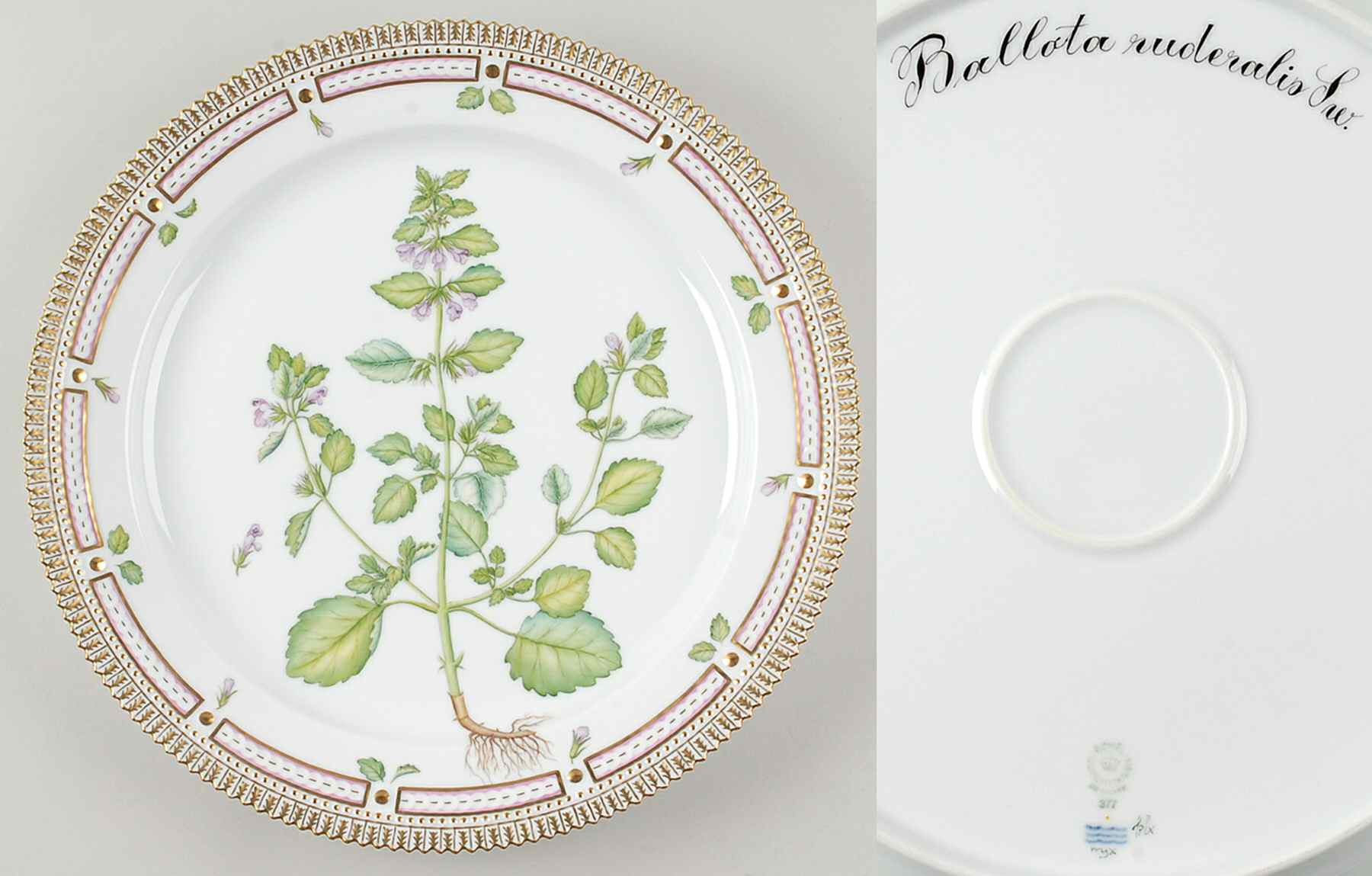 Flora Danica (1961 To Current) 14" Round Platter-Ballota ruderalis Sw by Royal Copenhagen-1