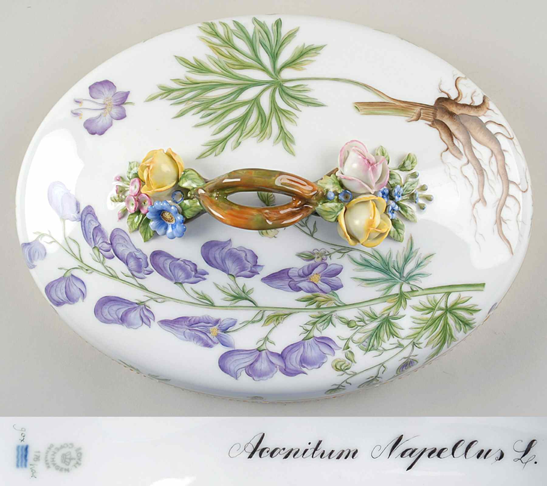Flora Danica (1961 To Current) Lid for Oval Vegetable-Aconitum Napellus L by Royal Copenhagen-1